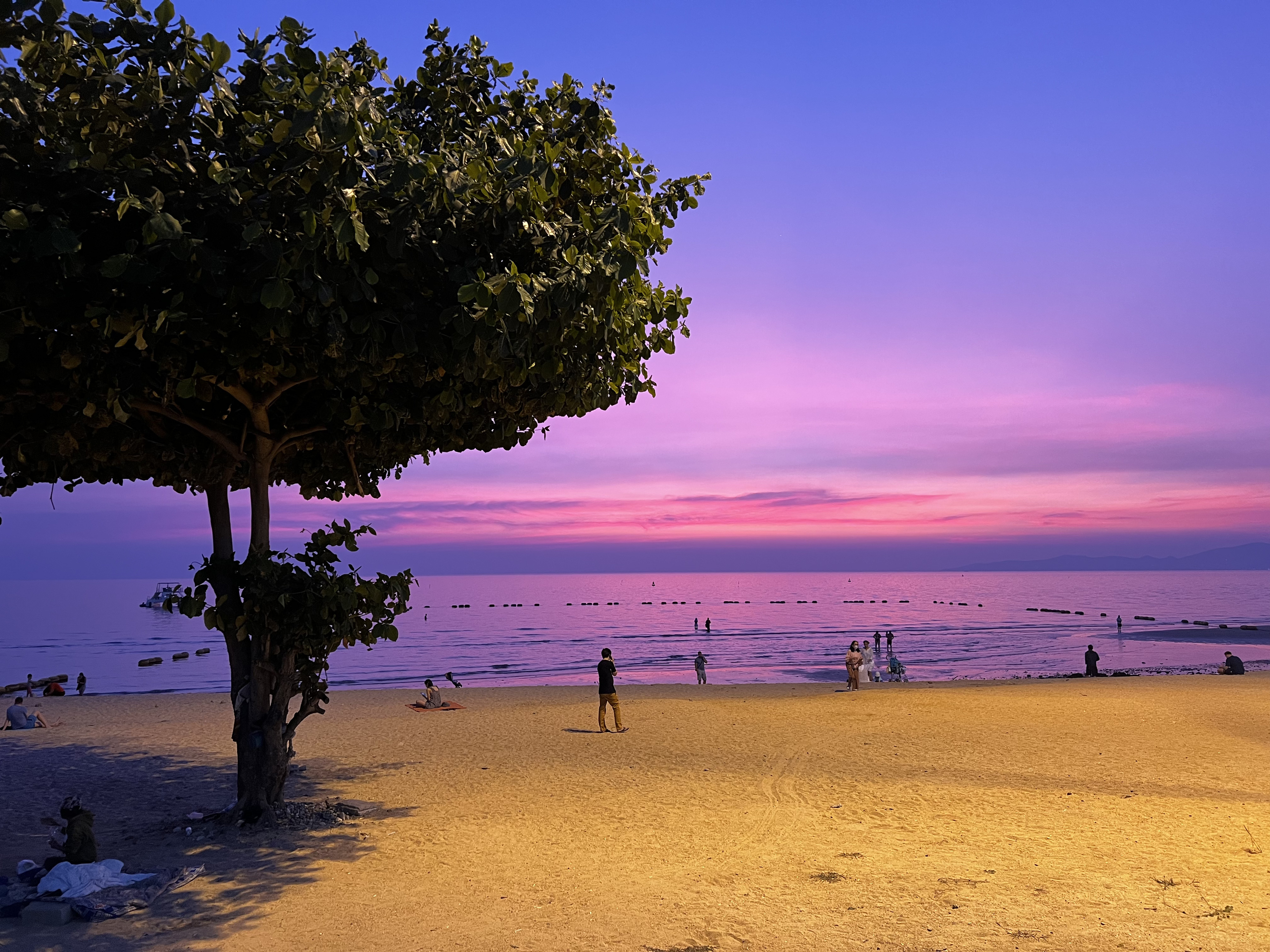 รูปถ่าย ไทย(Thailand) พัทยา(Pattaya) 2023-01 30