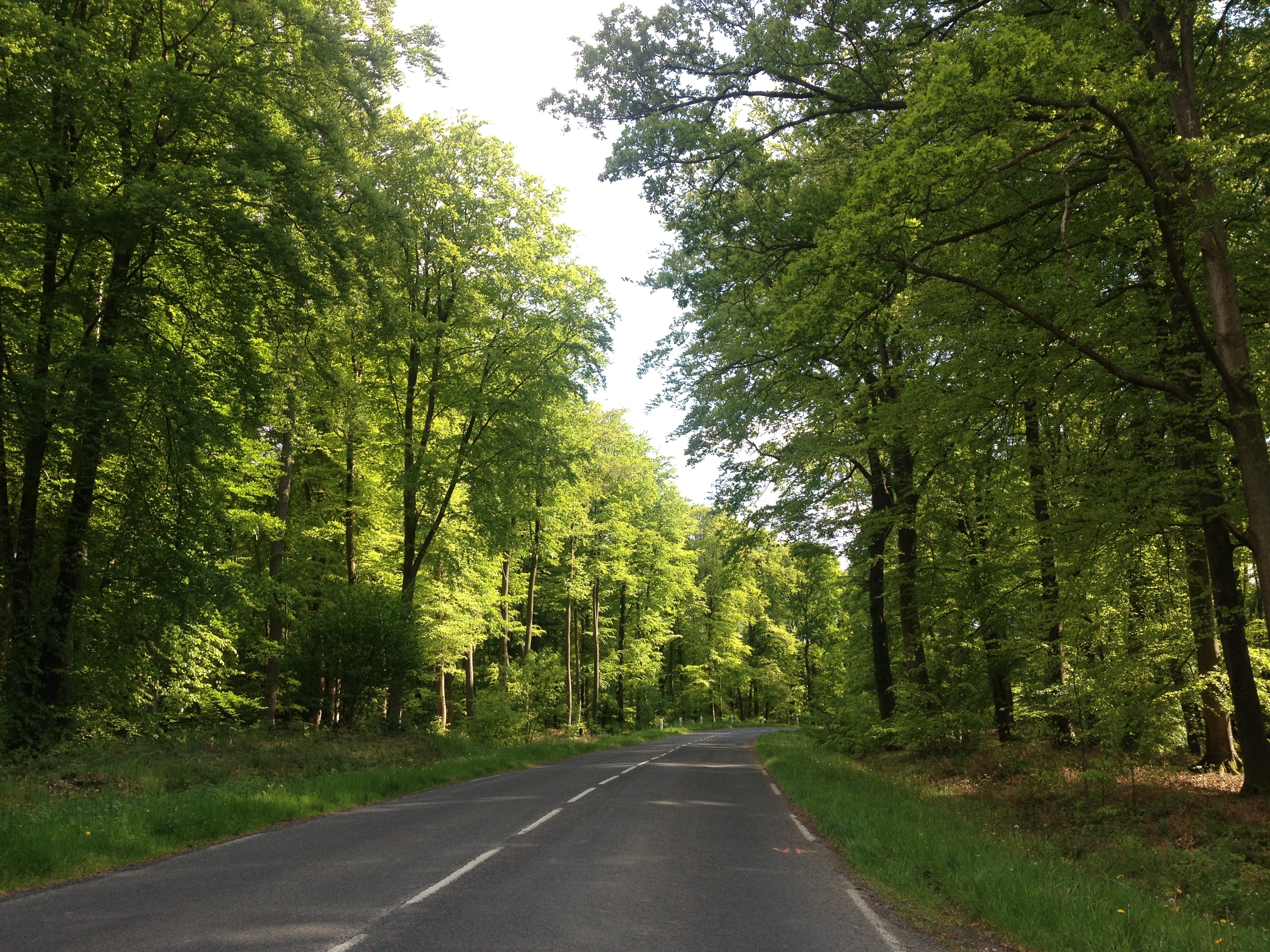 รูปถ่าย ฝรั่งเศส(France) ลียงส์-ลา-ฟอแร(Lyons La Foret) 2014-05 88