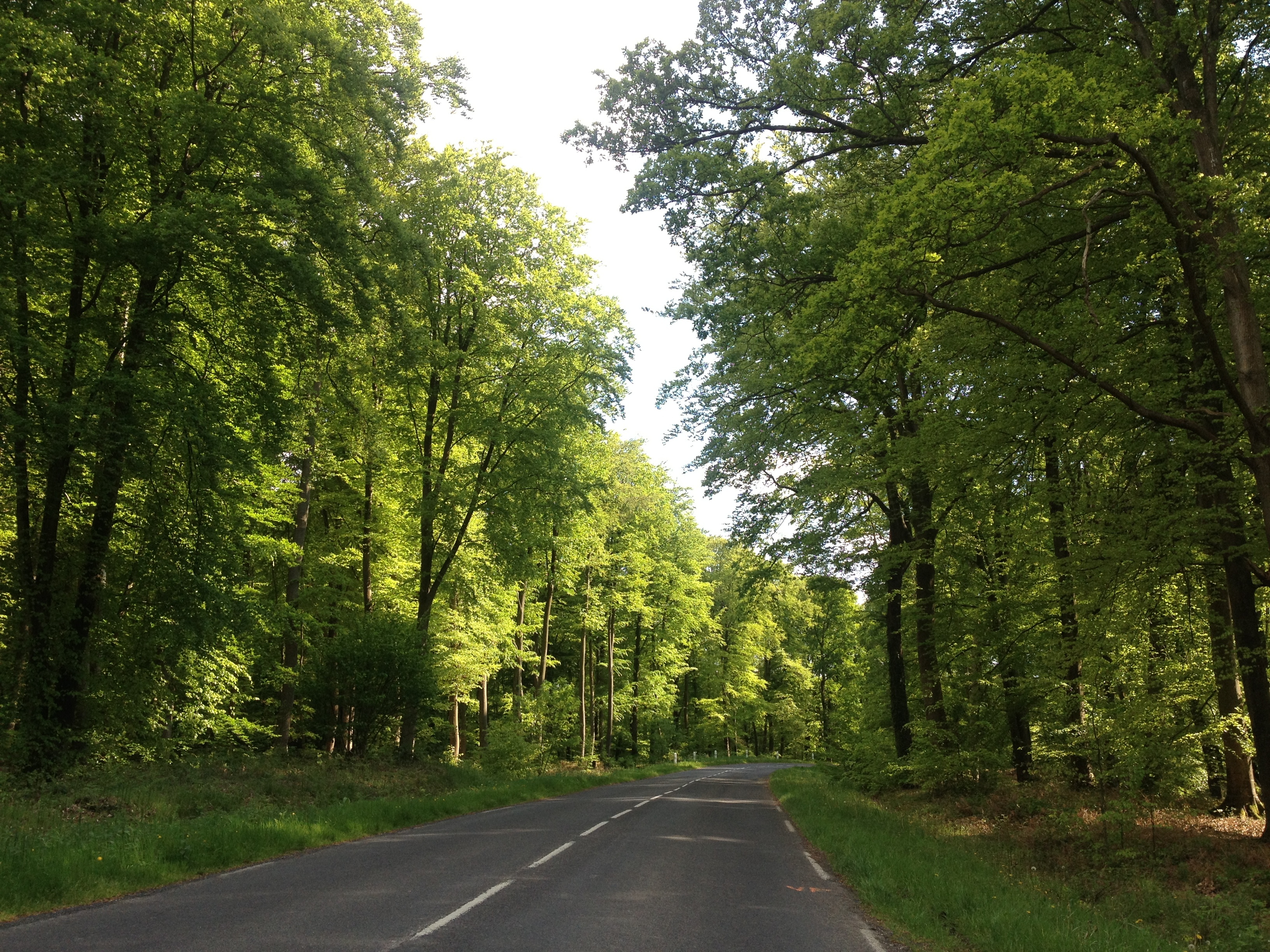 รูปถ่าย ฝรั่งเศส(France) ลียงส์-ลา-ฟอแร(Lyons La Foret) 2014-05 87