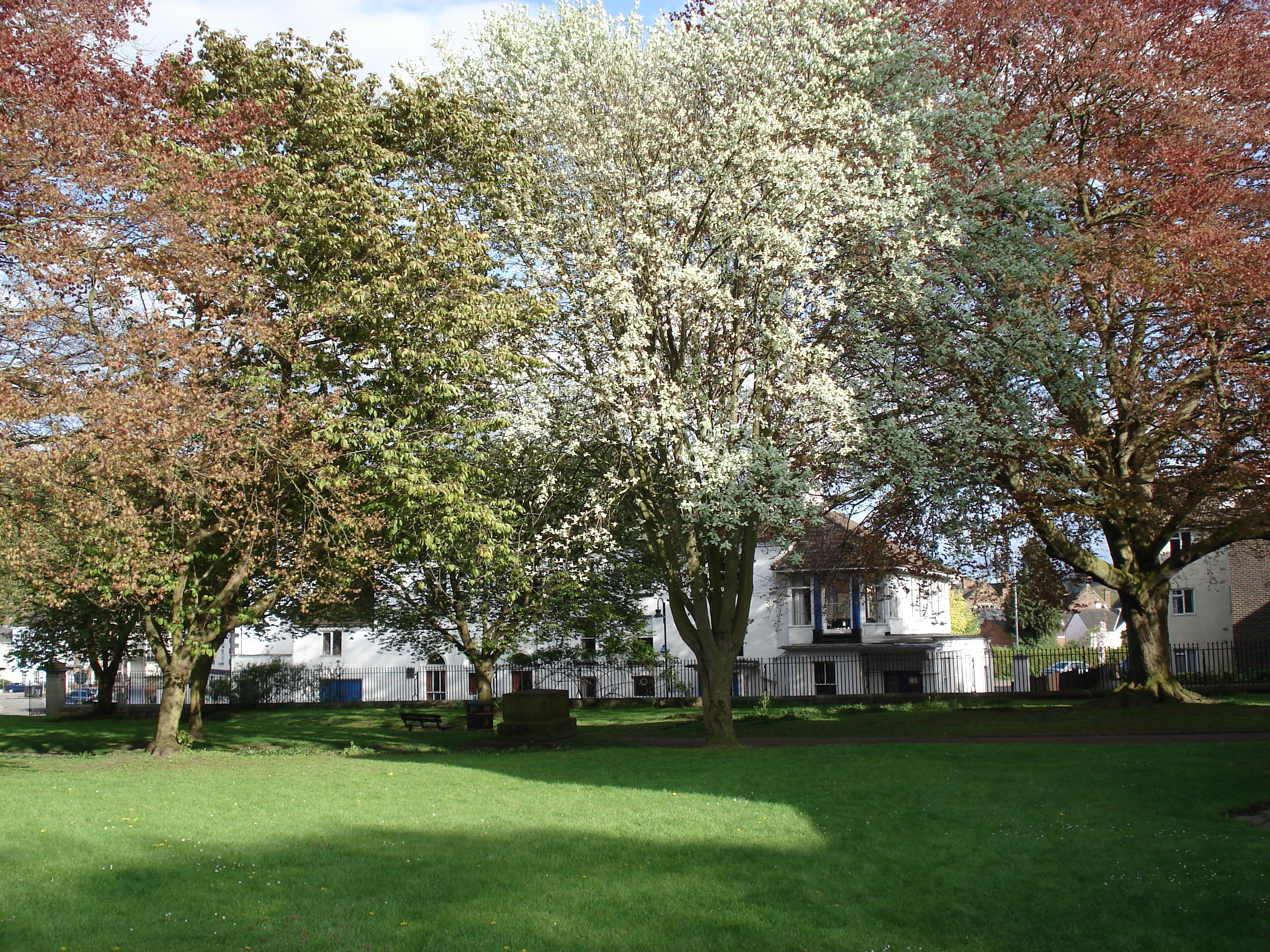 รูปถ่าย อังกฤษ(United Kingdom) มอนเมาธ์(Monmouth) 2006-05 33