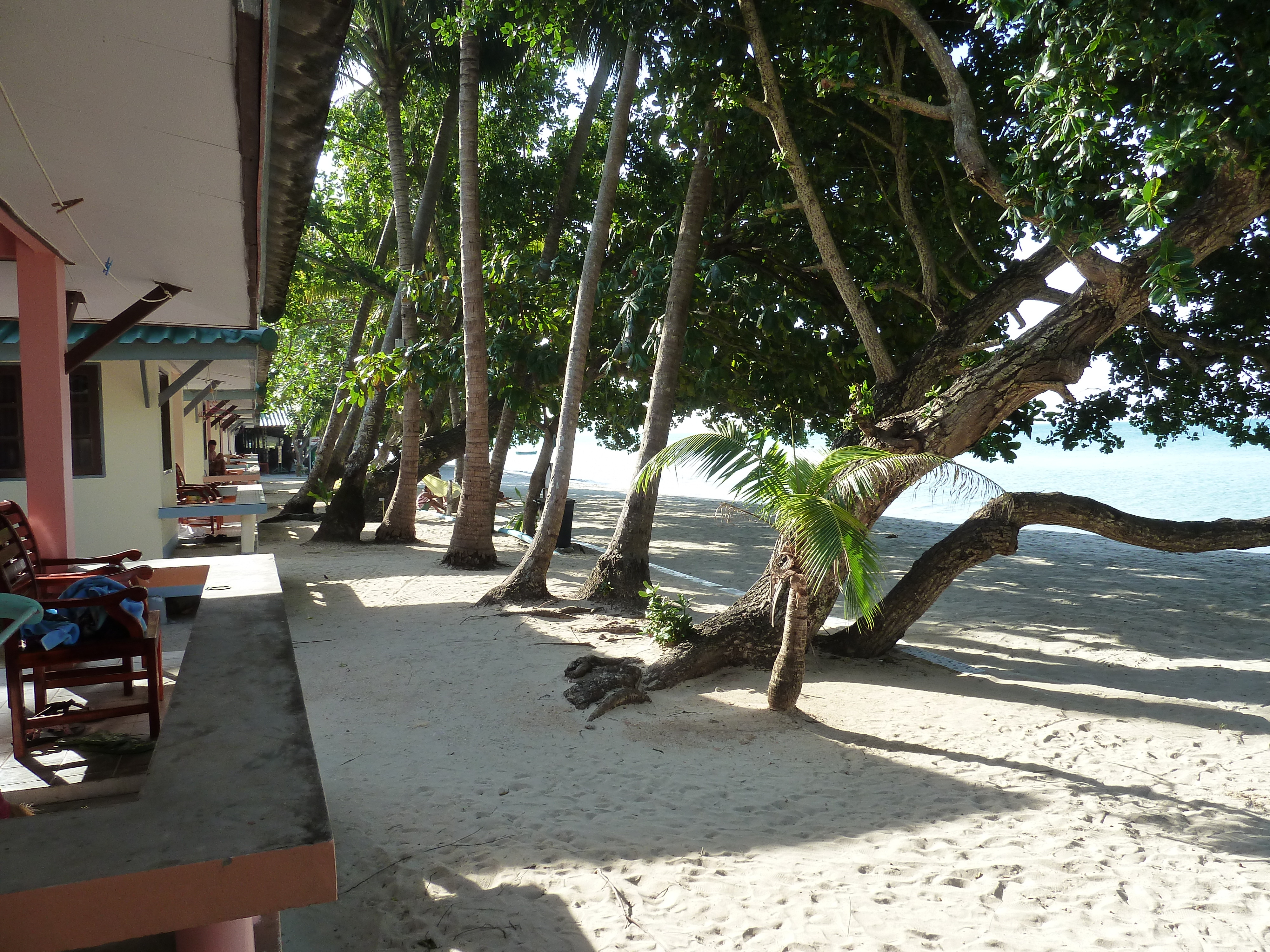 รูปถ่าย ไทย(Thailand) เกาะช้าง(Ko Chang) 2011-12 45