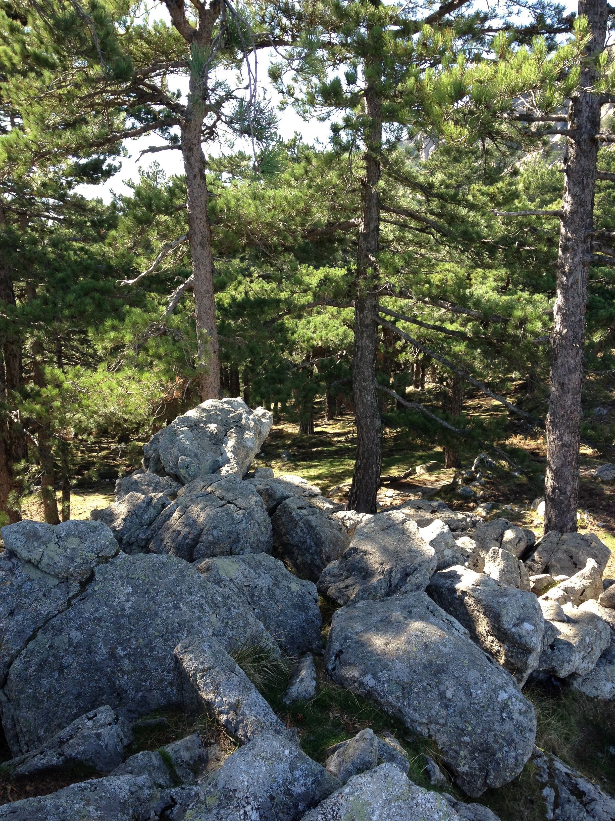 รูปถ่าย ฝรั่งเศส(France) คอร์สิคา(Corsica) บาแวลลา(Bavella) 2012-09 94