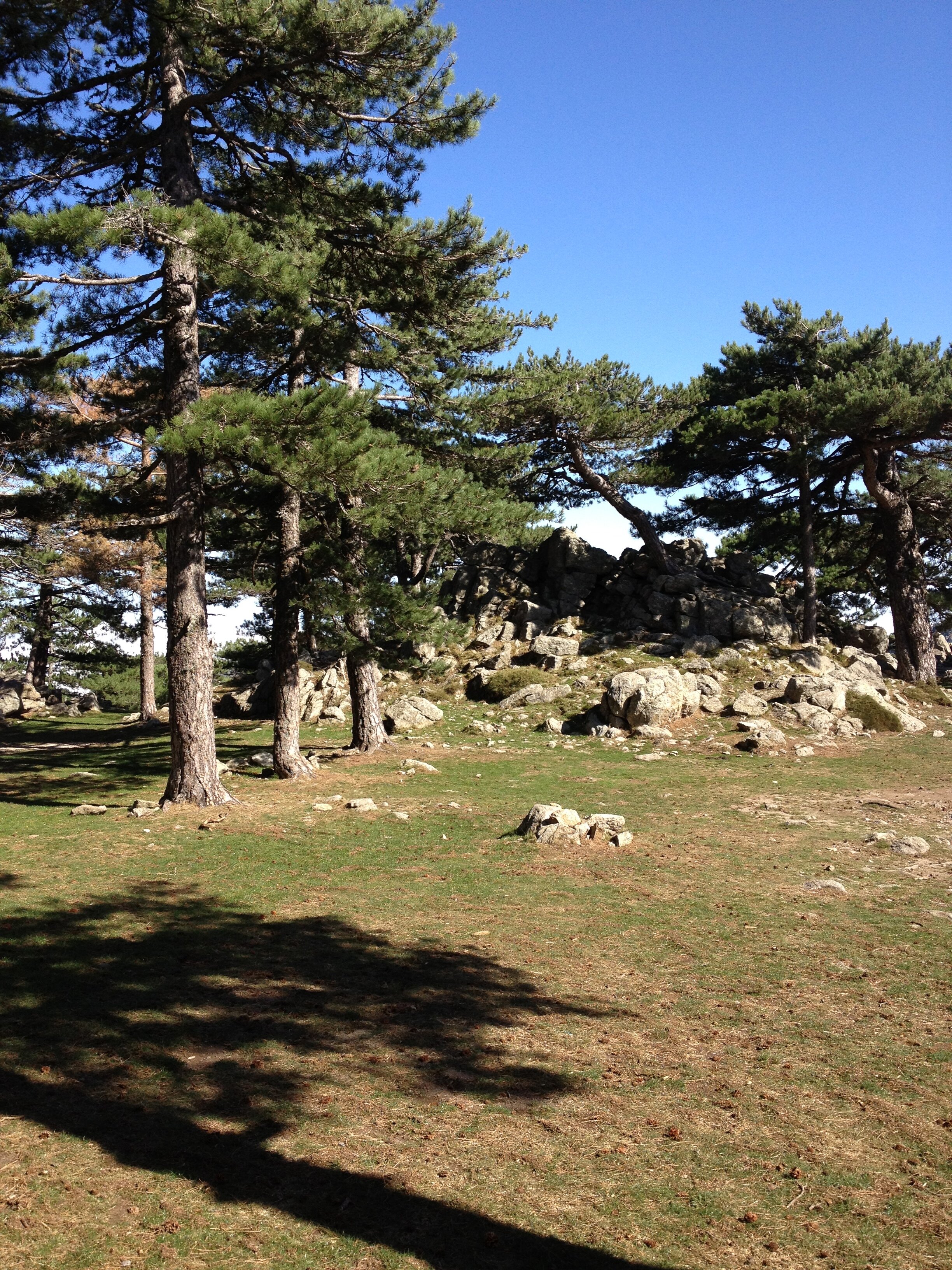 รูปถ่าย ฝรั่งเศส(France) คอร์สิคา(Corsica) บาแวลลา(Bavella) 2012-09 89