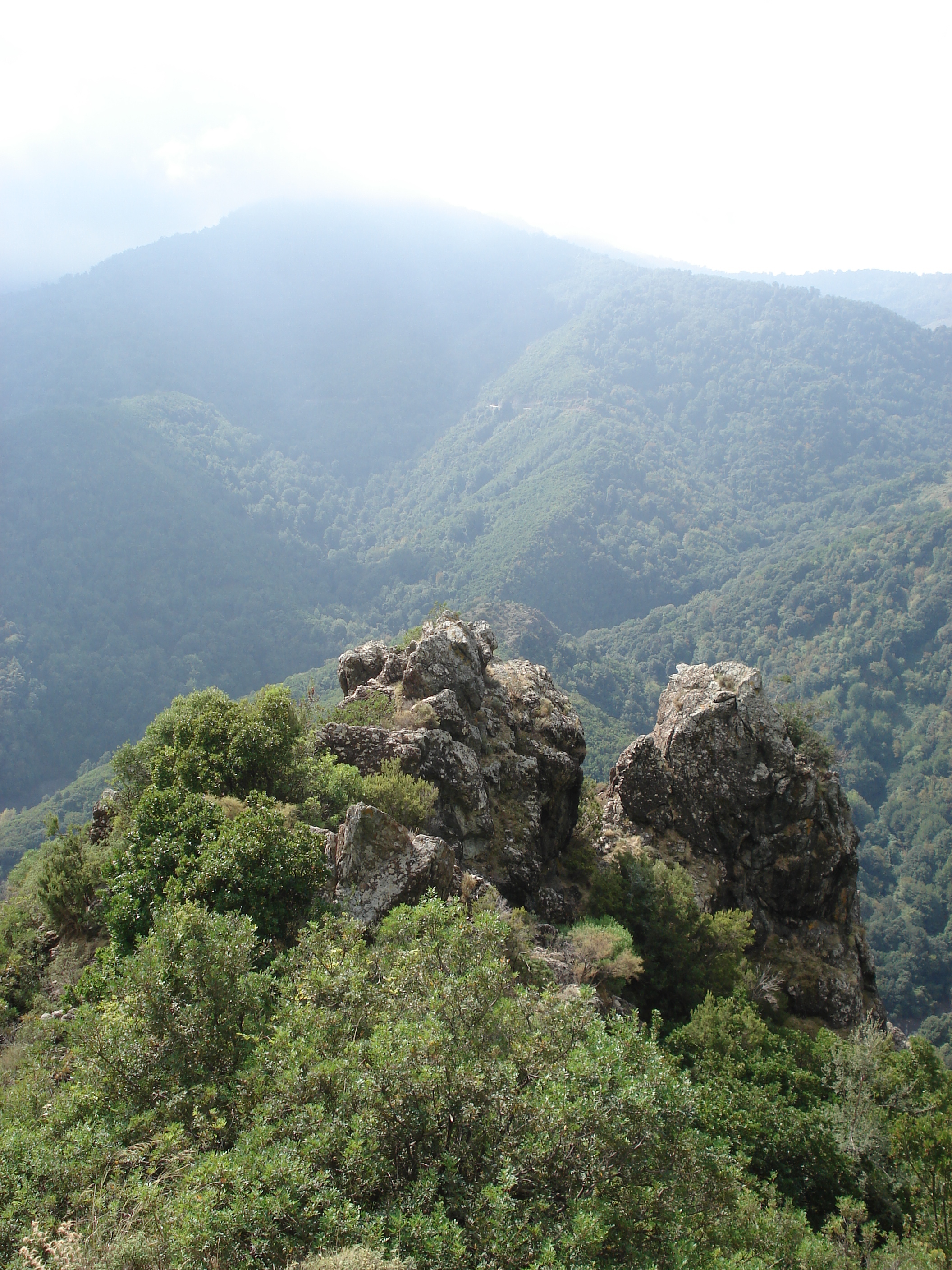 รูปถ่าย ฝรั่งเศส(France) คอร์สิคา(Corsica) วัลเล-ดาเลซานี(Valle d'alesani) 2006-09 55