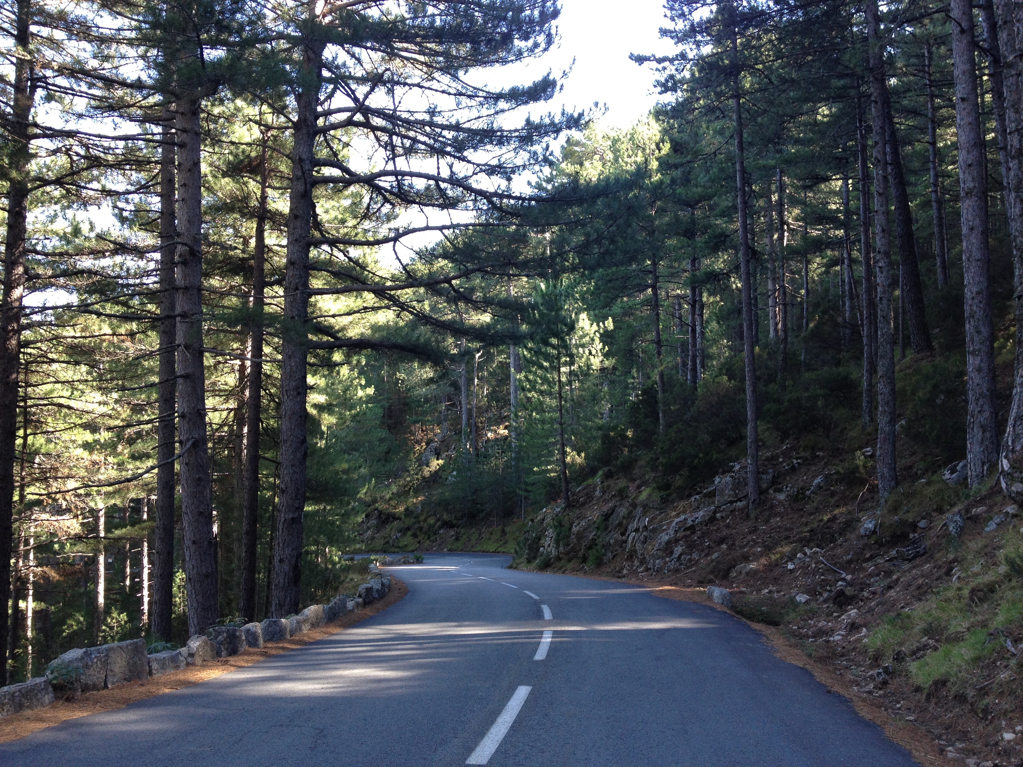 รูปถ่าย ฝรั่งเศส(France) คอร์สิคา(Corsica) บาแวลลา(Bavella) 2012-09 63