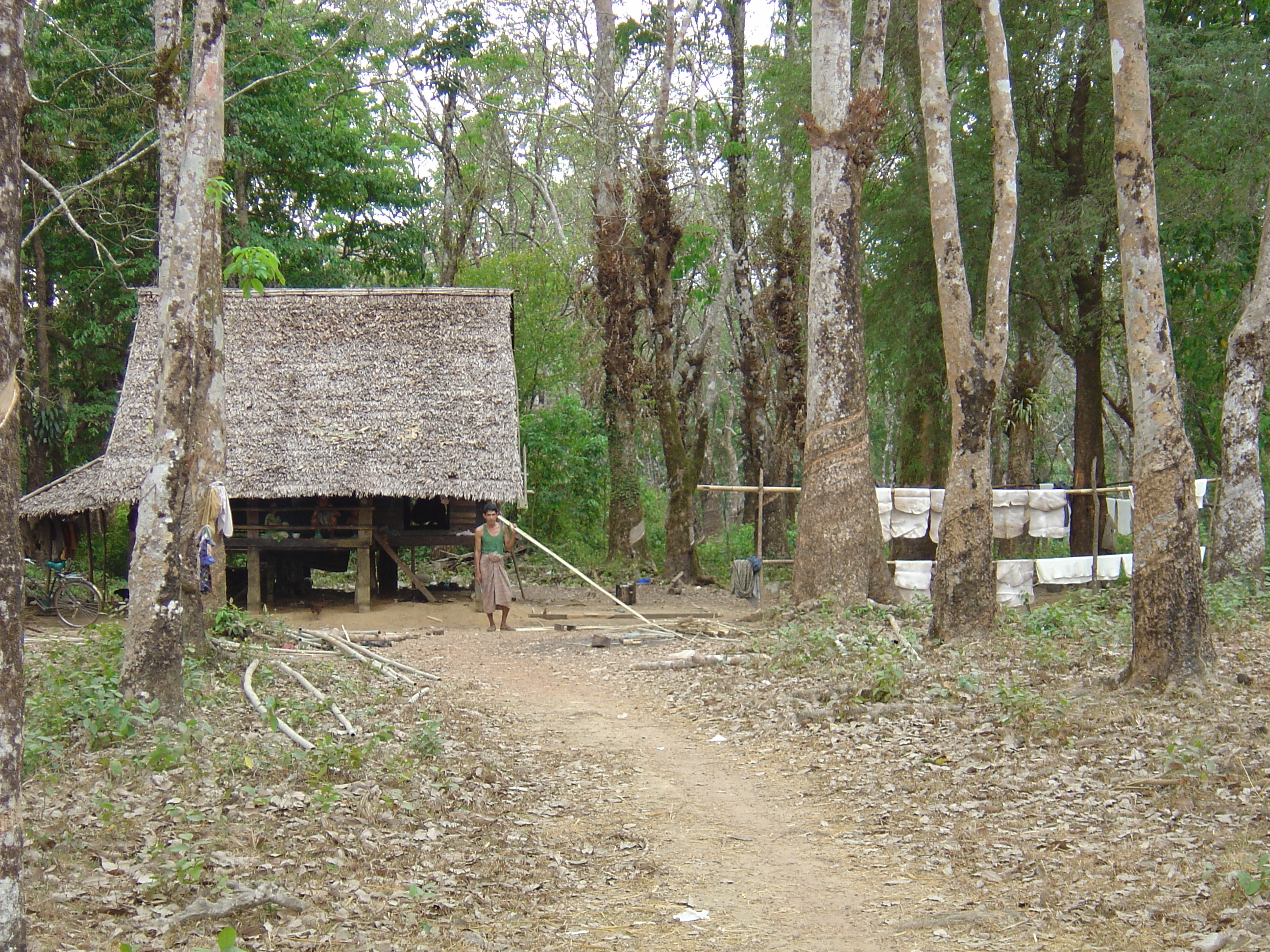 รูปถ่าย พม่า(Myanmar) ถนนจากทวายไปหาดหม่องมะกัน(Road from Dawei to Maungmagan beach) 2005-01 28