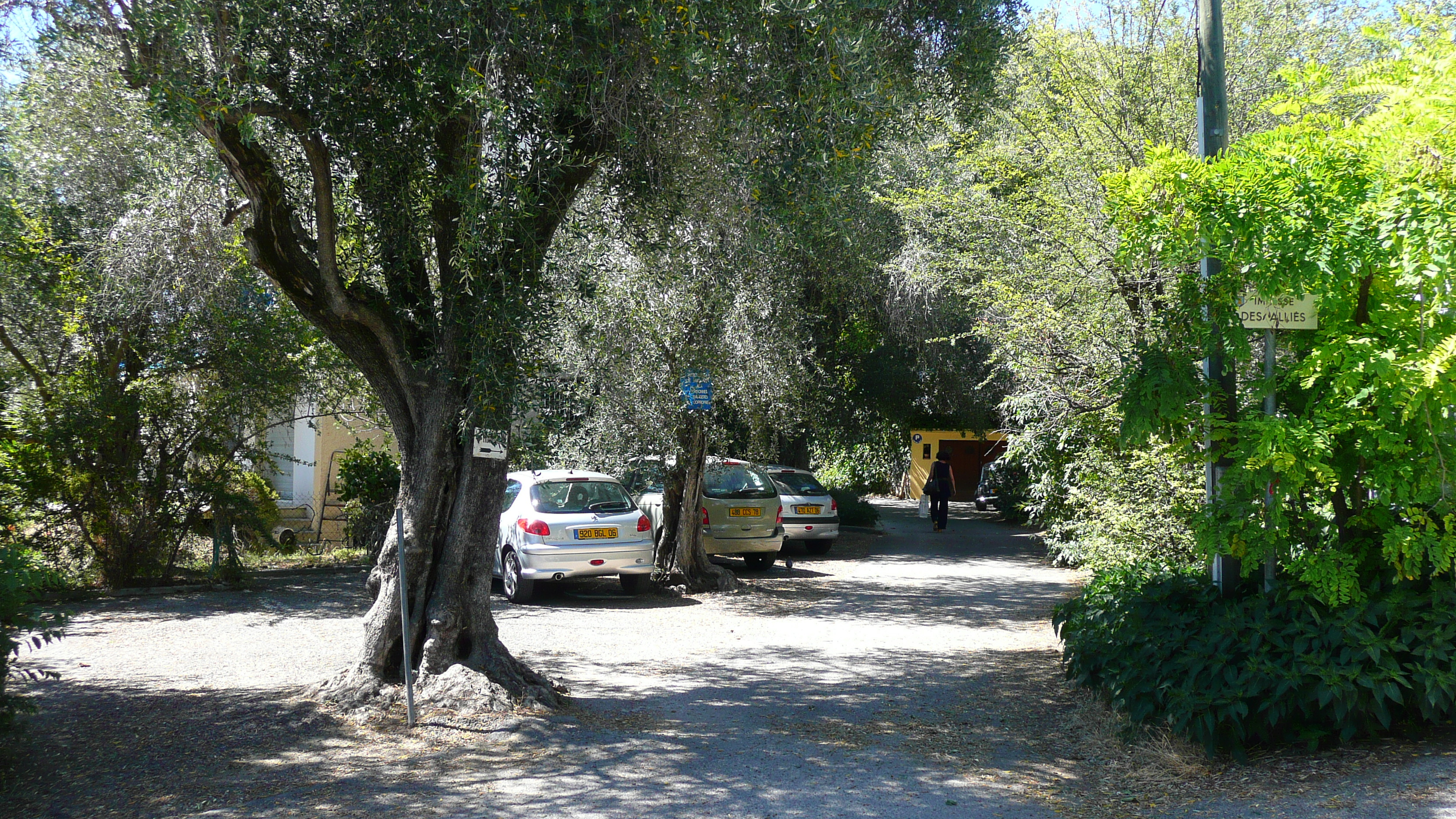 รูปถ่าย ฝรั่งเศส(France) วังซ์(Vence) วองซ์ด้านตะวันตก(Vence West) 2007-07 33