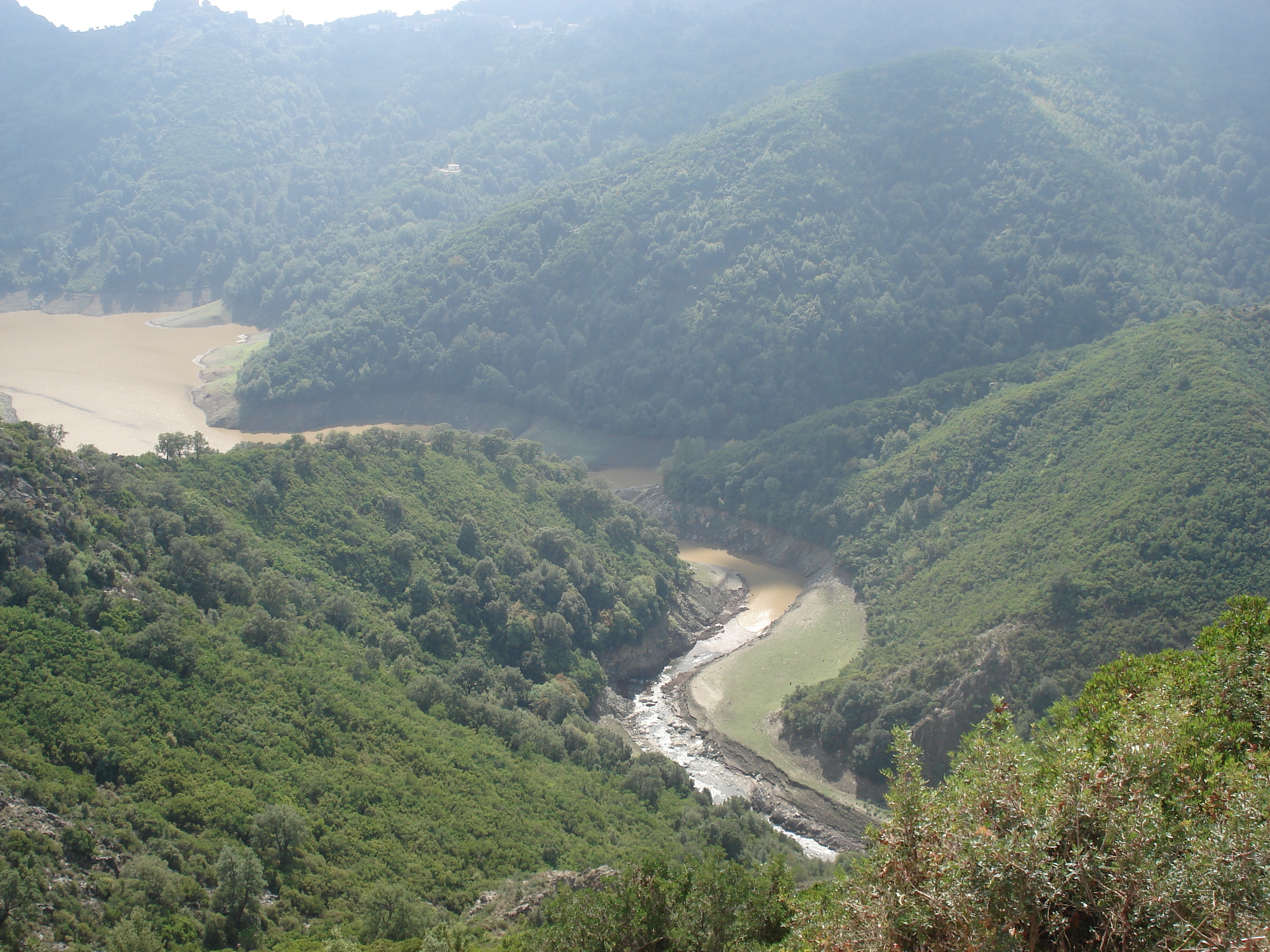 รูปถ่าย ฝรั่งเศส(France) คอร์สิคา(Corsica) วัลเล-ดาเลซานี(Valle d'alesani) 2006-09 98