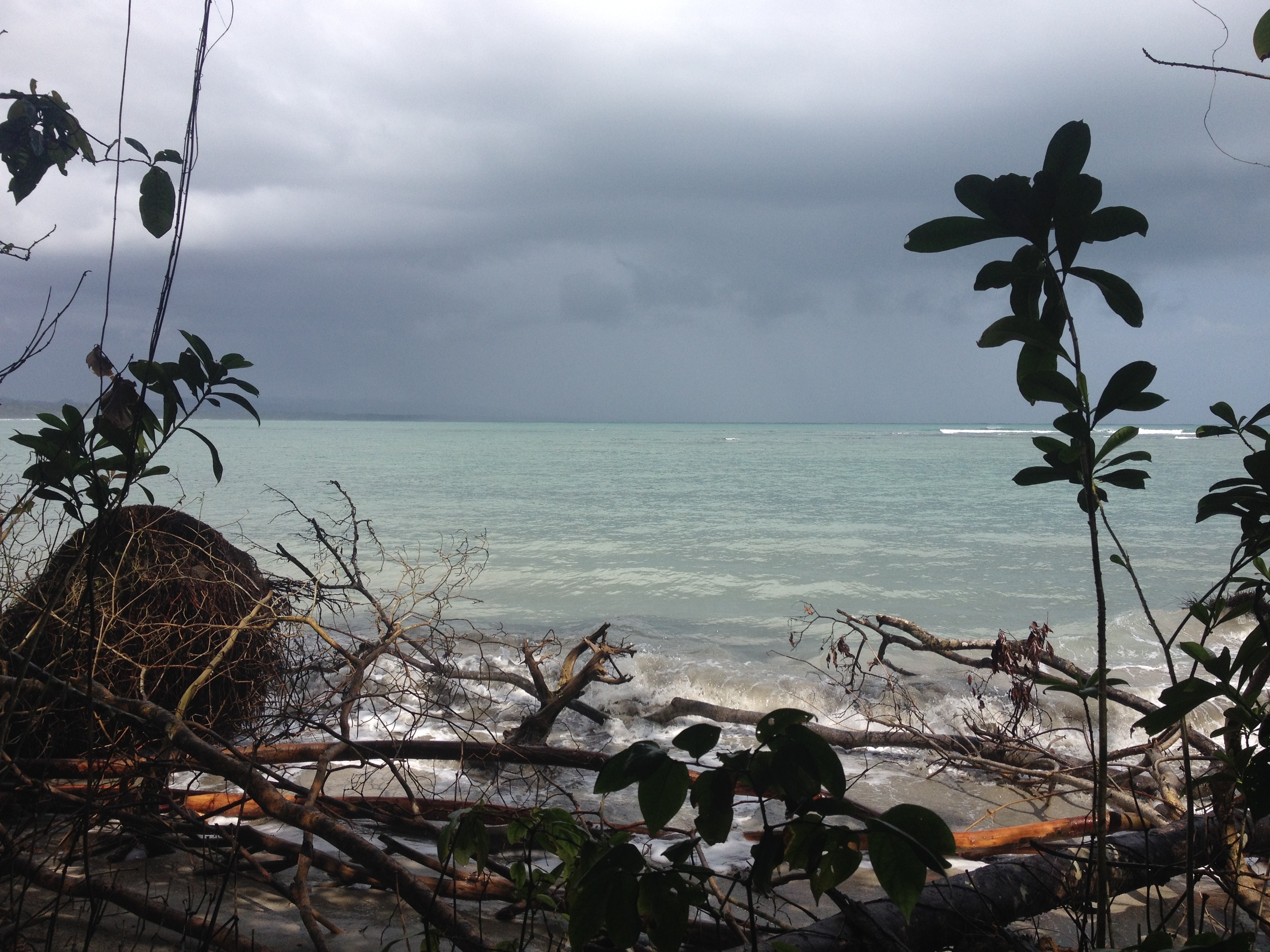 รูปถ่าย คอสตาริกา(Costa Rica) กาอุยตา(Cahuita) 2015-03 56