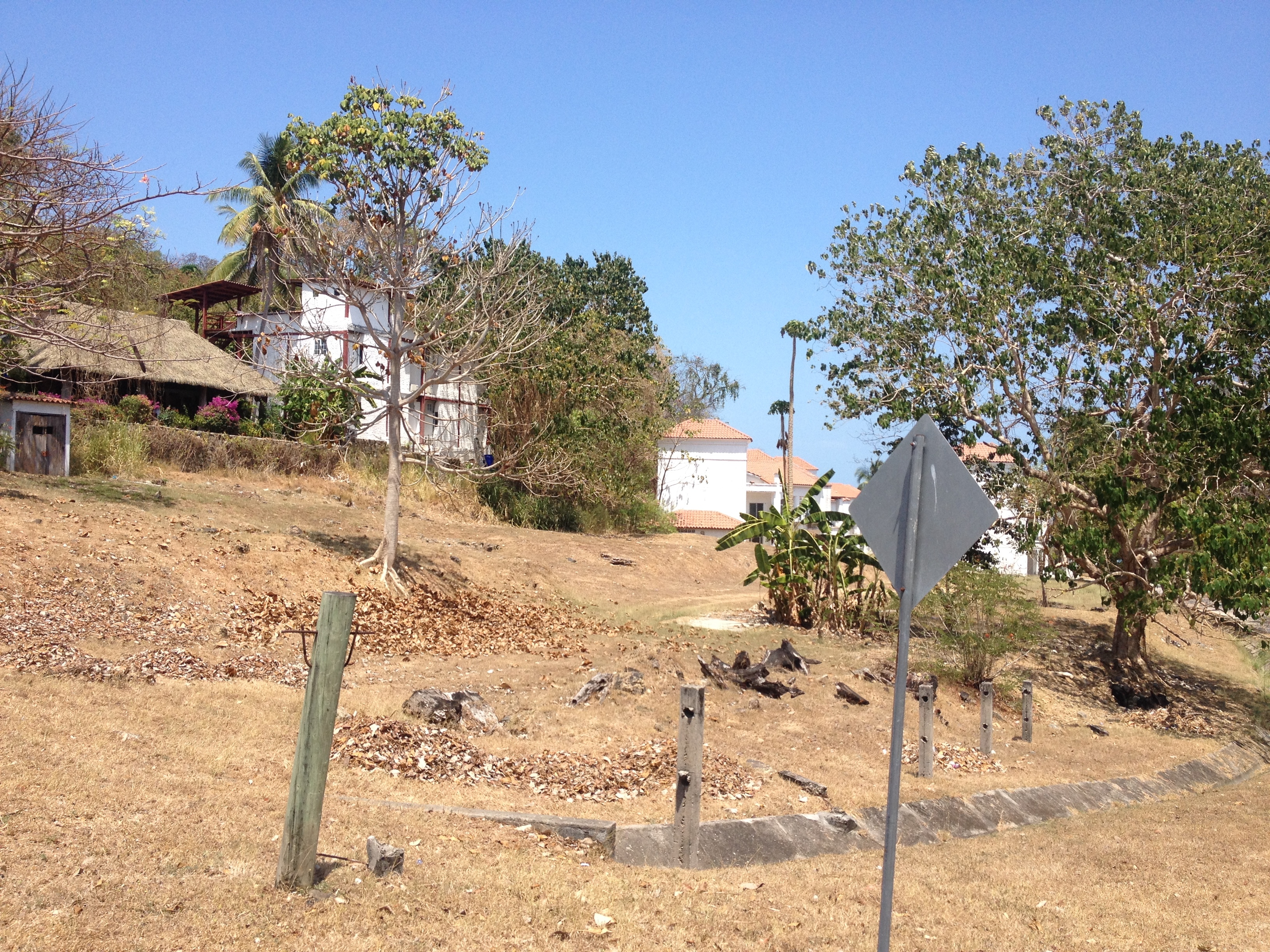 รูปถ่าย ปานามา(Panama) เกาะคอนตาโดรา(Contadora Island) 2015-03 39