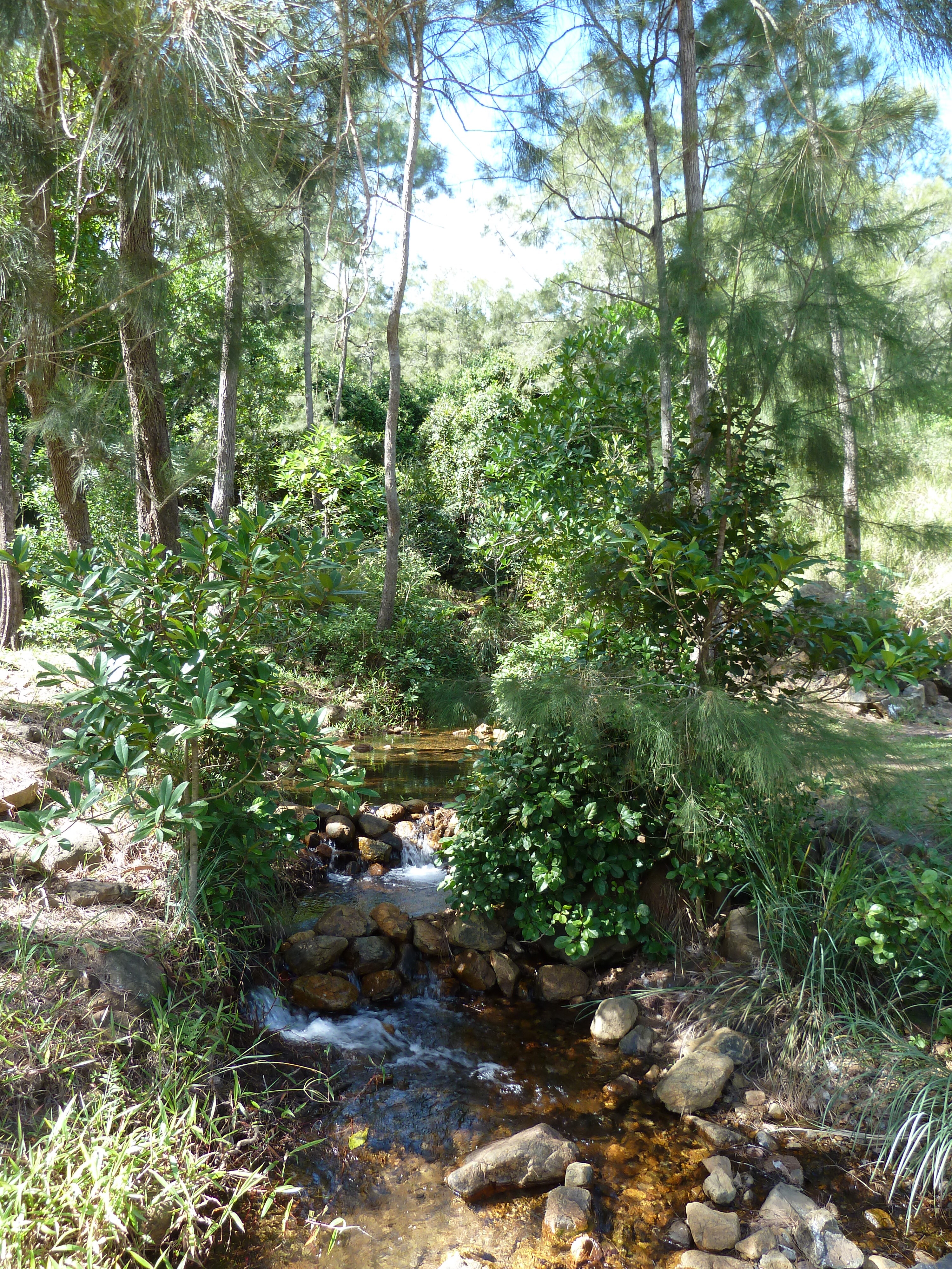 รูปถ่าย นิวแคลิโดเนีย(New Caledonia) ถนนจากตงตูตาไปทีโอ(Tontouta to Thio road) 2010-05 135