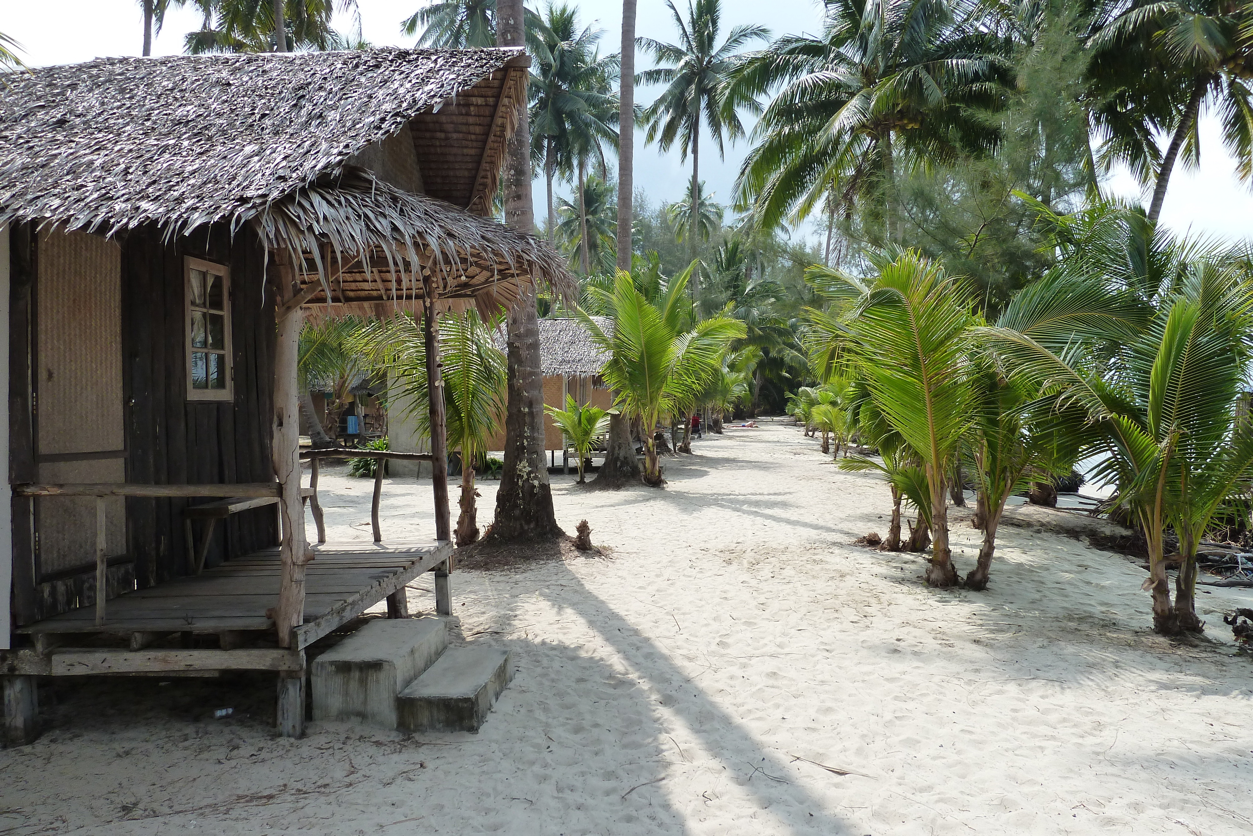 รูปถ่าย ไทย(Thailand) เกาะช้าง(Ko Chang) หาดคลองพร้าว(Klong Prao beach) 2011-02 12