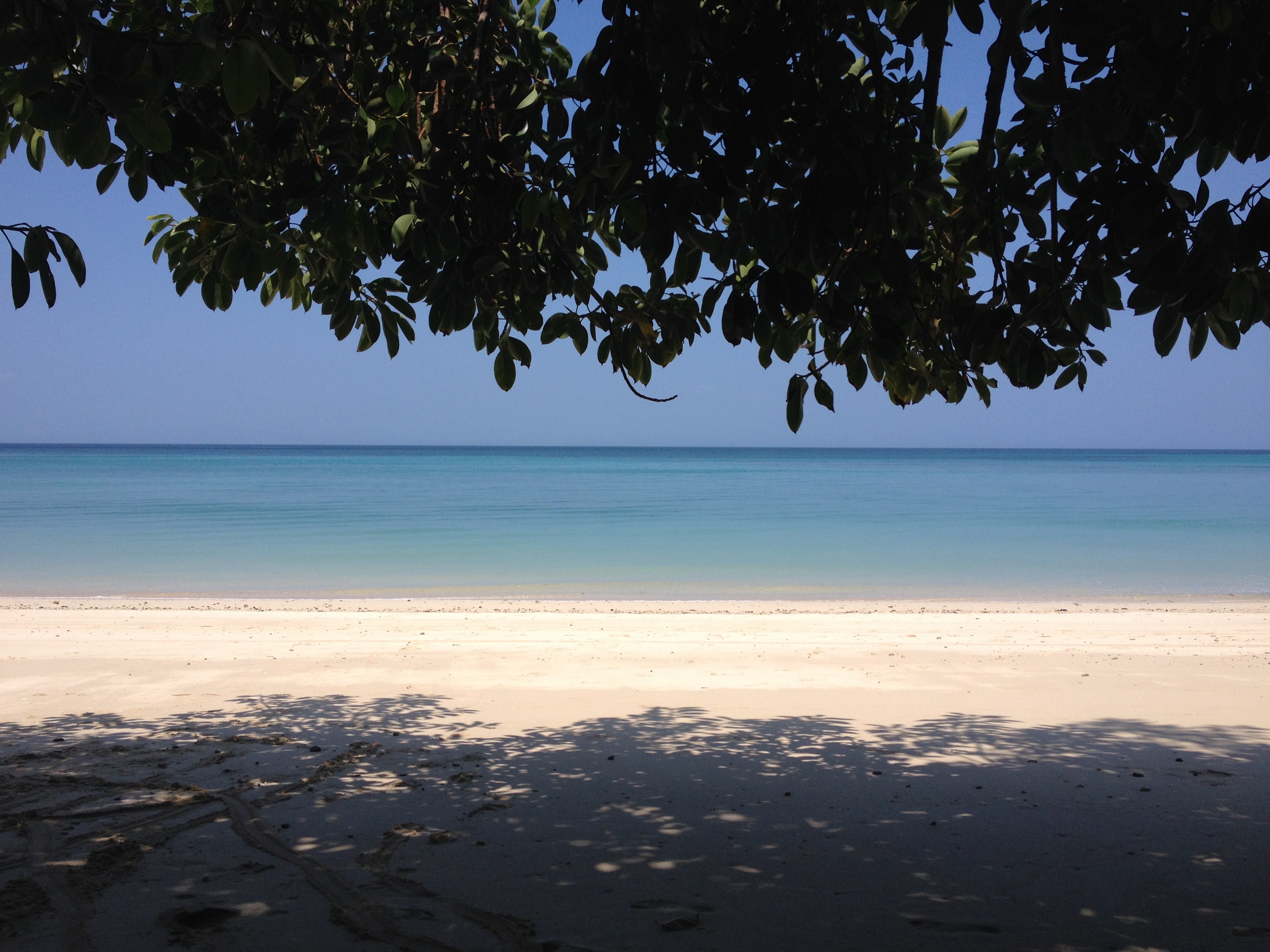 รูปถ่าย ปานามา(Panama) เกาะคอนตาโดรา(Contadora Island) 2015-03 74