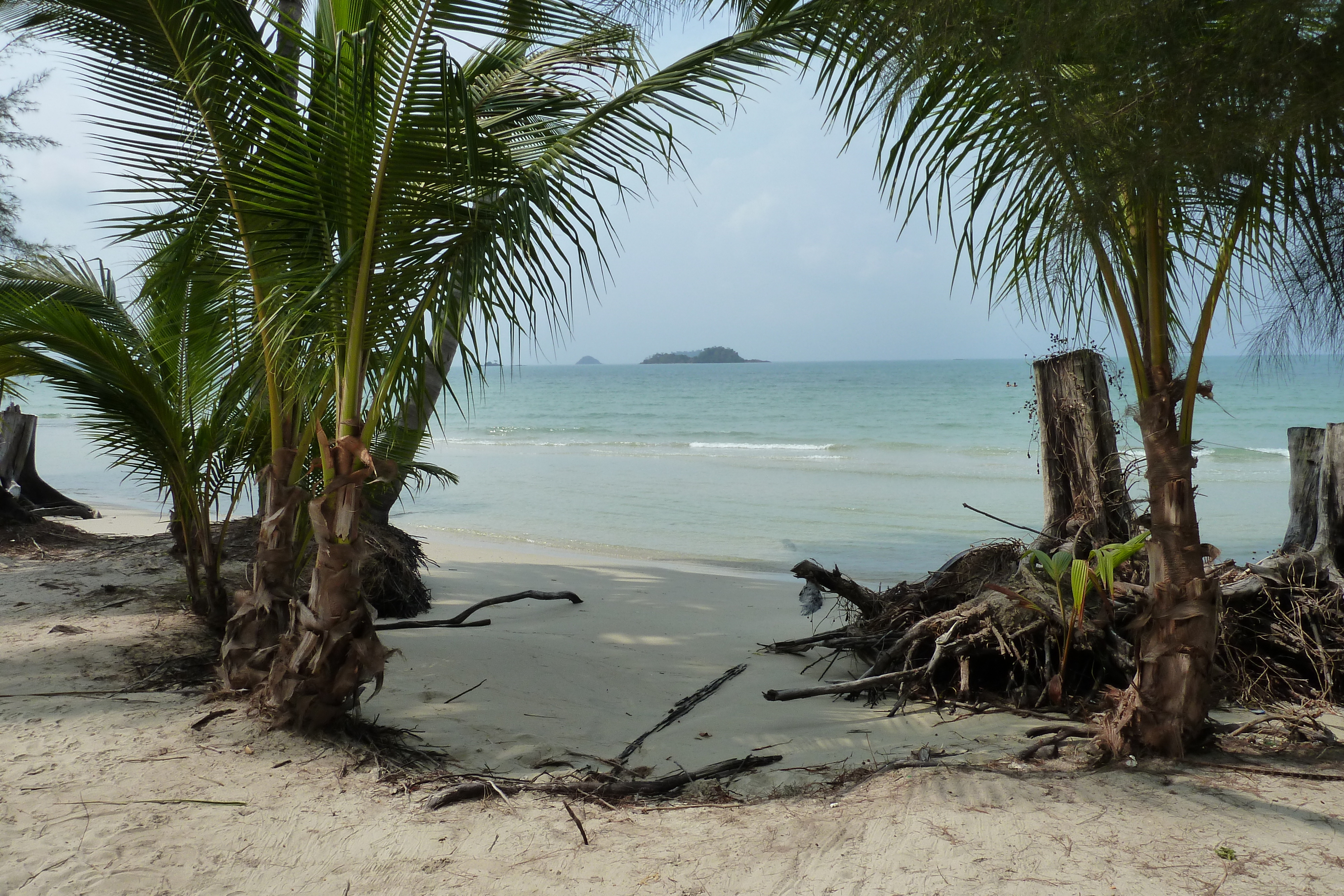 รูปถ่าย ไทย(Thailand) เกาะช้าง(Ko Chang) หาดคลองพร้าว(Klong Prao beach) 2011-02 86
