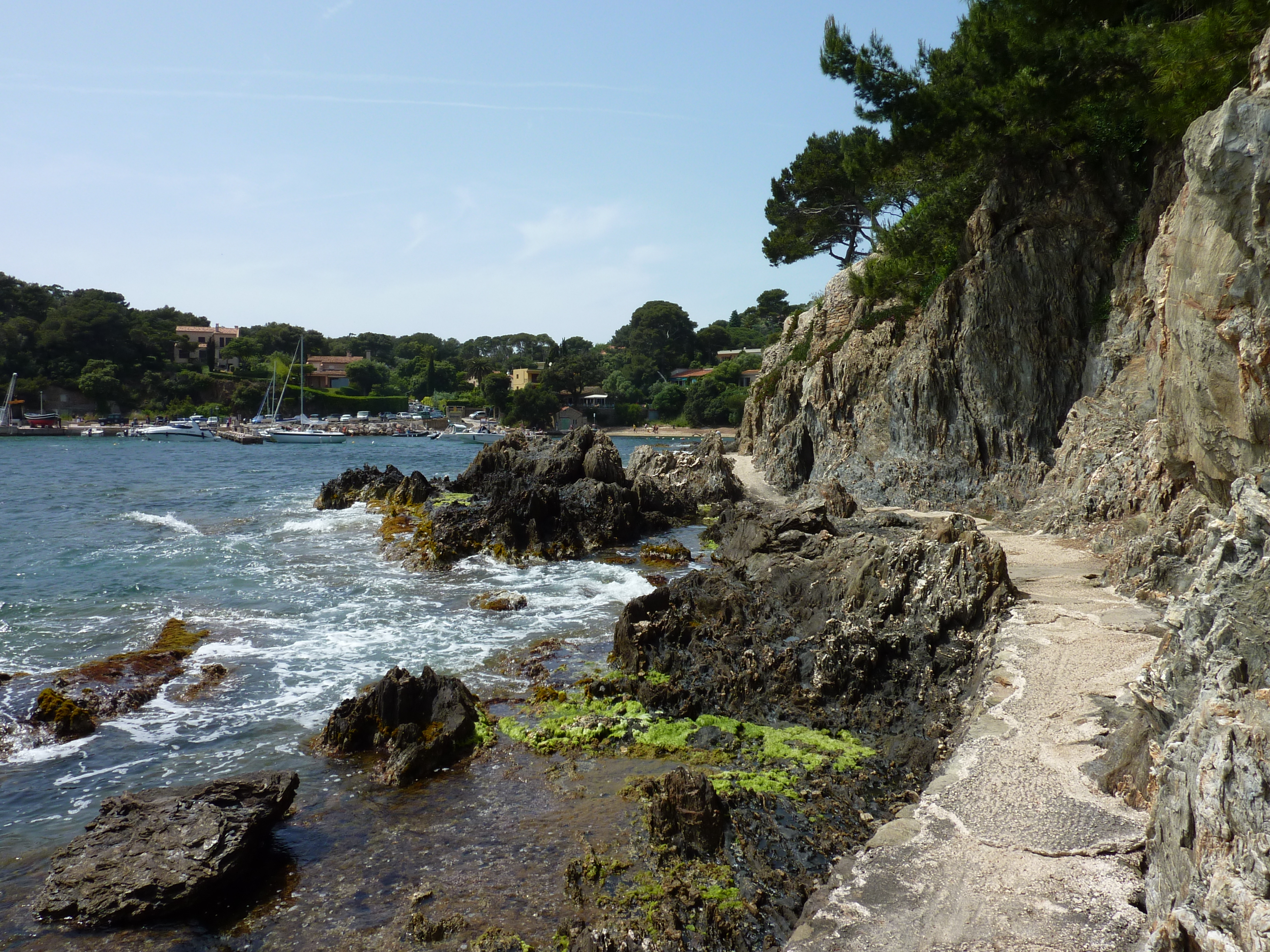 รูปถ่าย ฝรั่งเศส(France) คาบสมุทรเยียง(Giens Peninsula) 2009-05 34