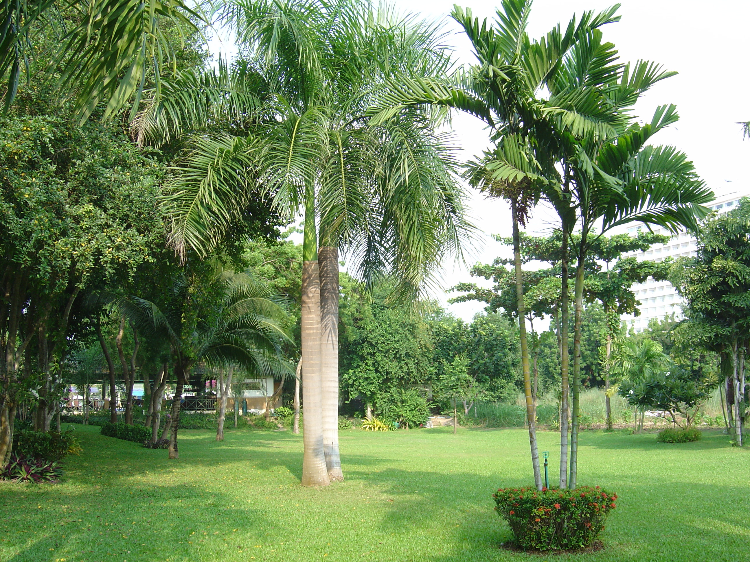 รูปถ่าย ไทย(Thailand) หาดจอมเทียน(Jomtien Beach) โรงแรมแกรนด์จอมเทียนพาเลซ(Grand Jomtien Palace Hotel) 2004-10 25