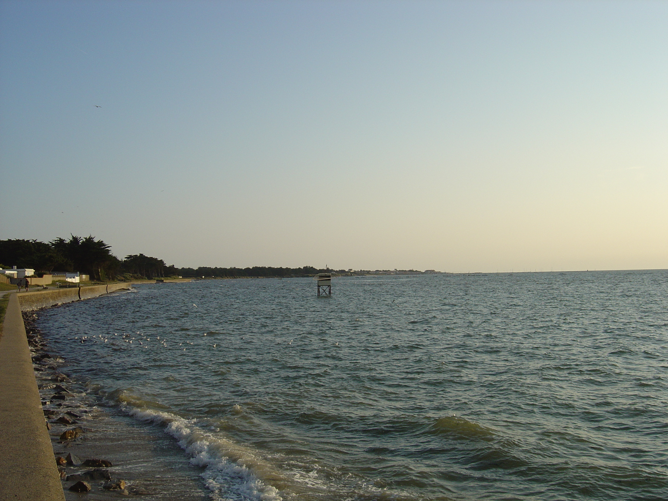 รูปถ่าย ฝรั่งเศส(France) เพรฟาย(Prefailles) 2004-08 1