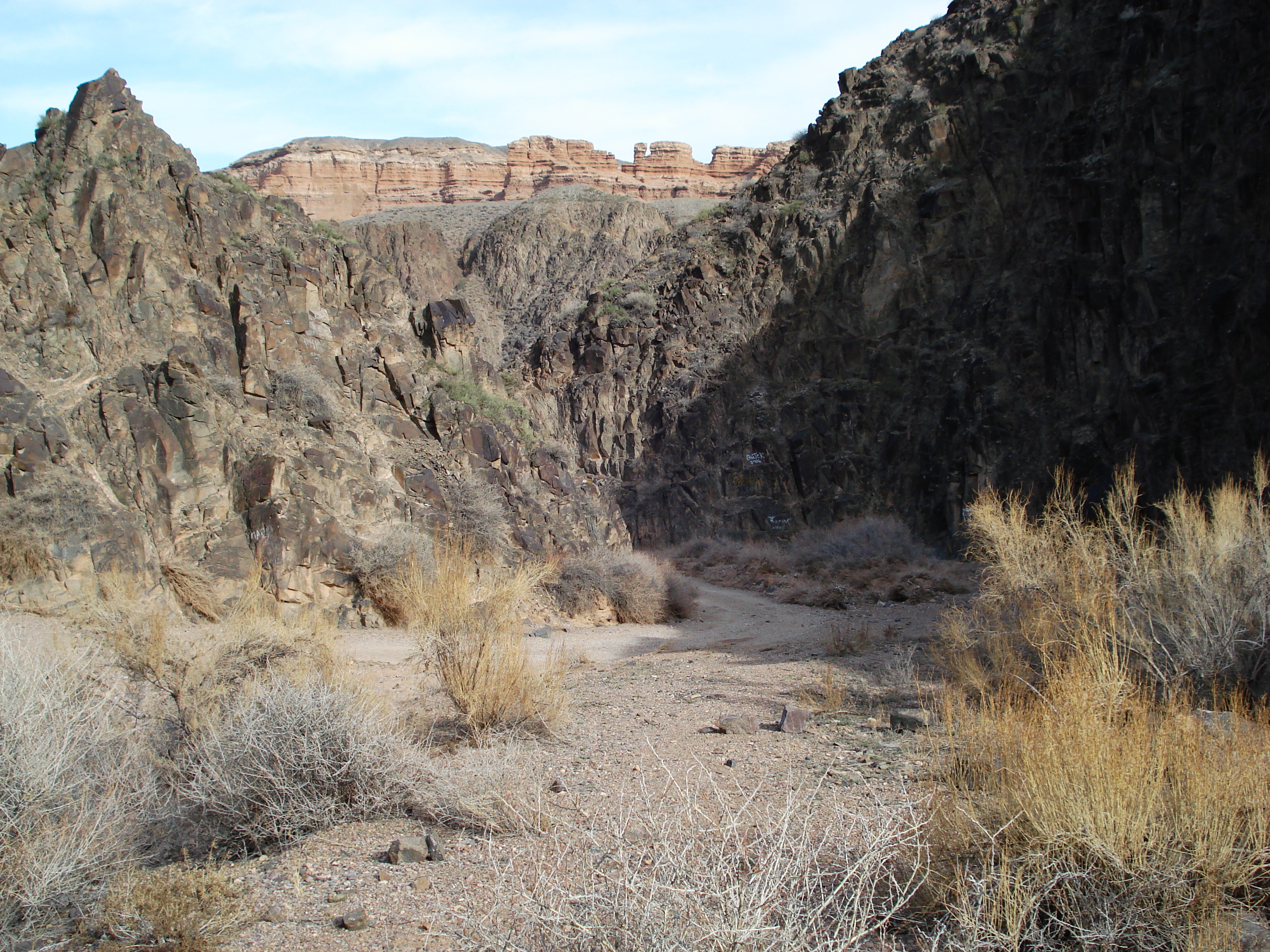 รูปถ่าย คาซัคสถาน(Kazakhstan) หุบผาชารึน(Charyn Canyon) 2007-03 222
