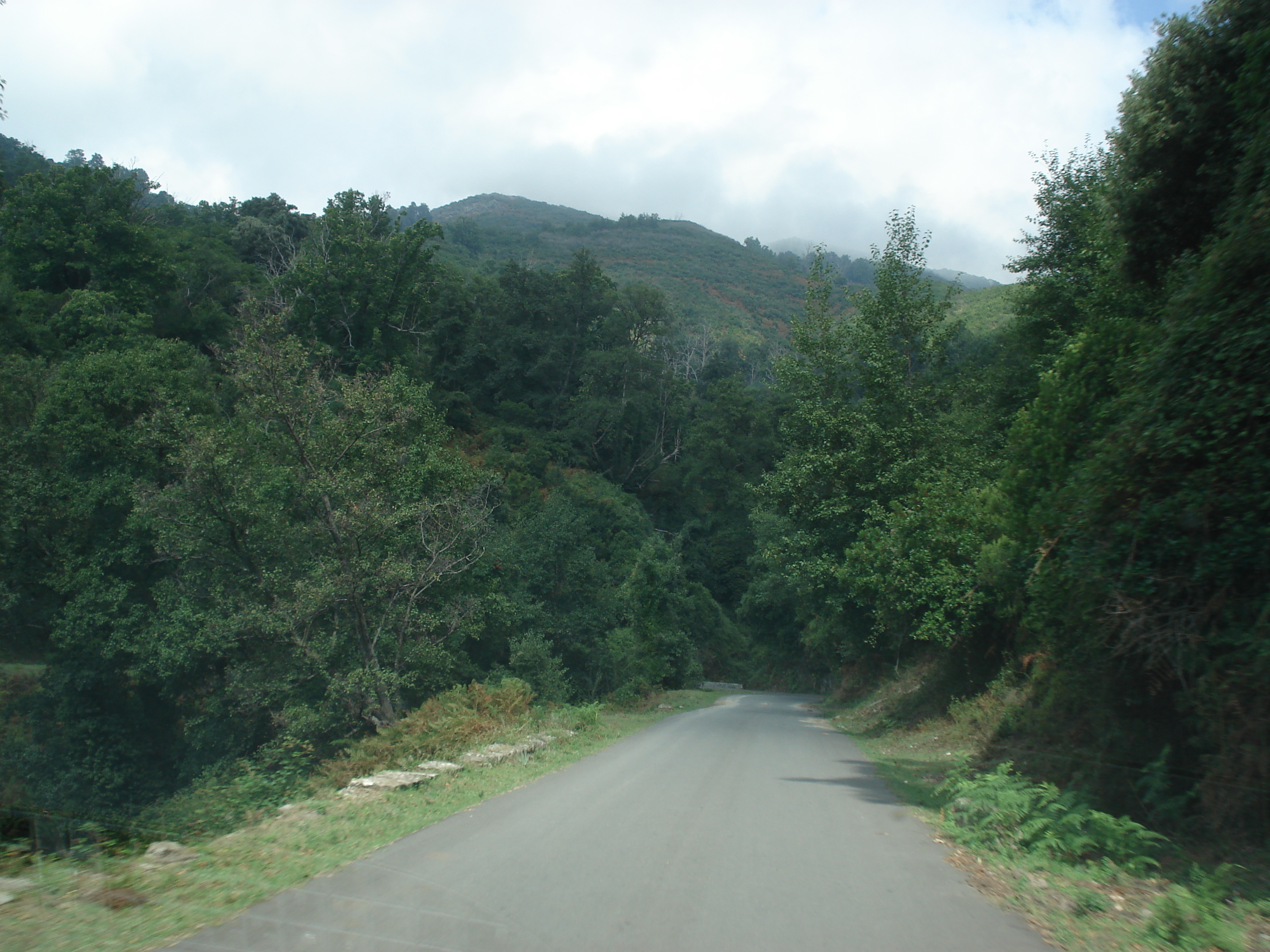 รูปถ่าย ฝรั่งเศส(France) คอร์สิคา(Corsica) วัลเล-ดาเลซานี(Valle d'alesani) 2006-09 57