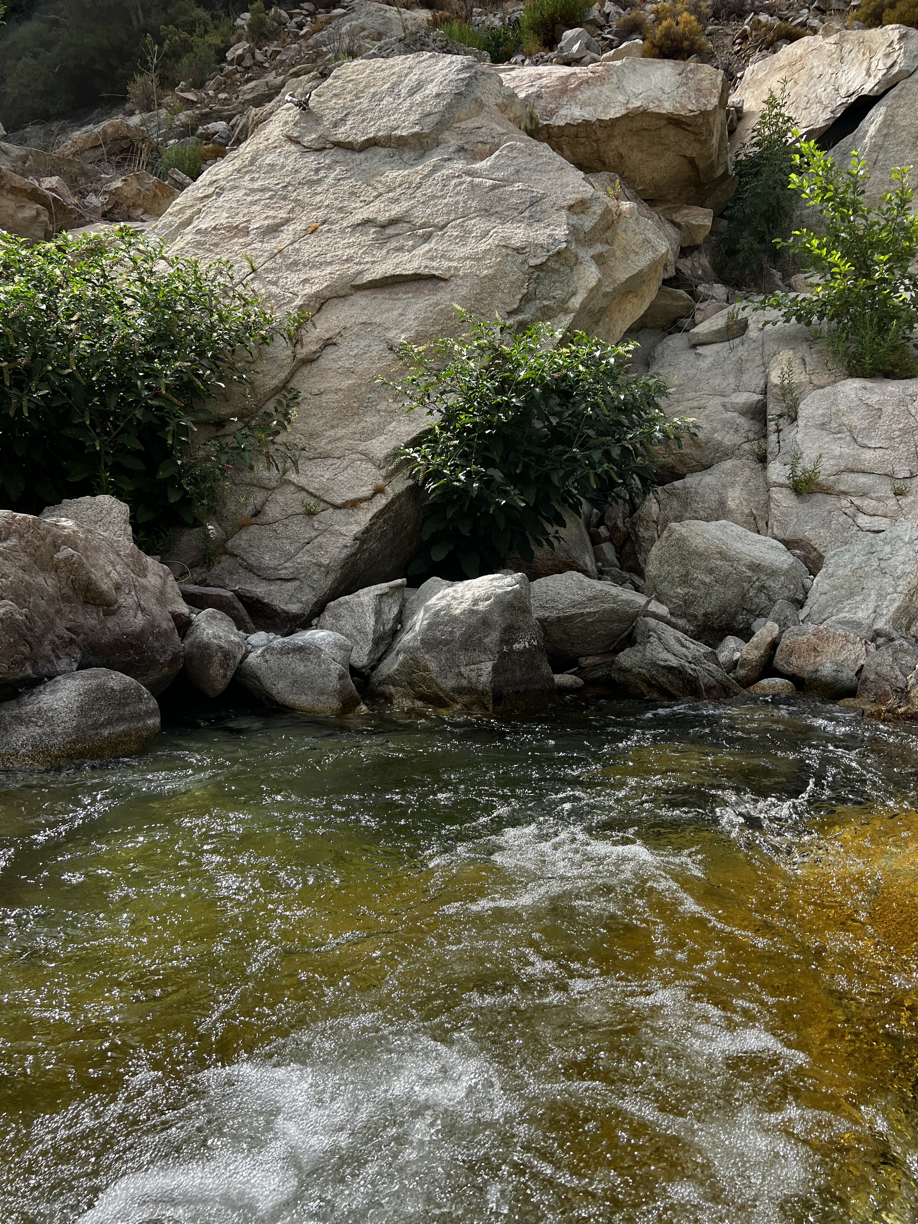 รูปถ่าย ฝรั่งเศส(France) คอร์สิคา(Corsica) คีซา(Chisa) 2022-07 17