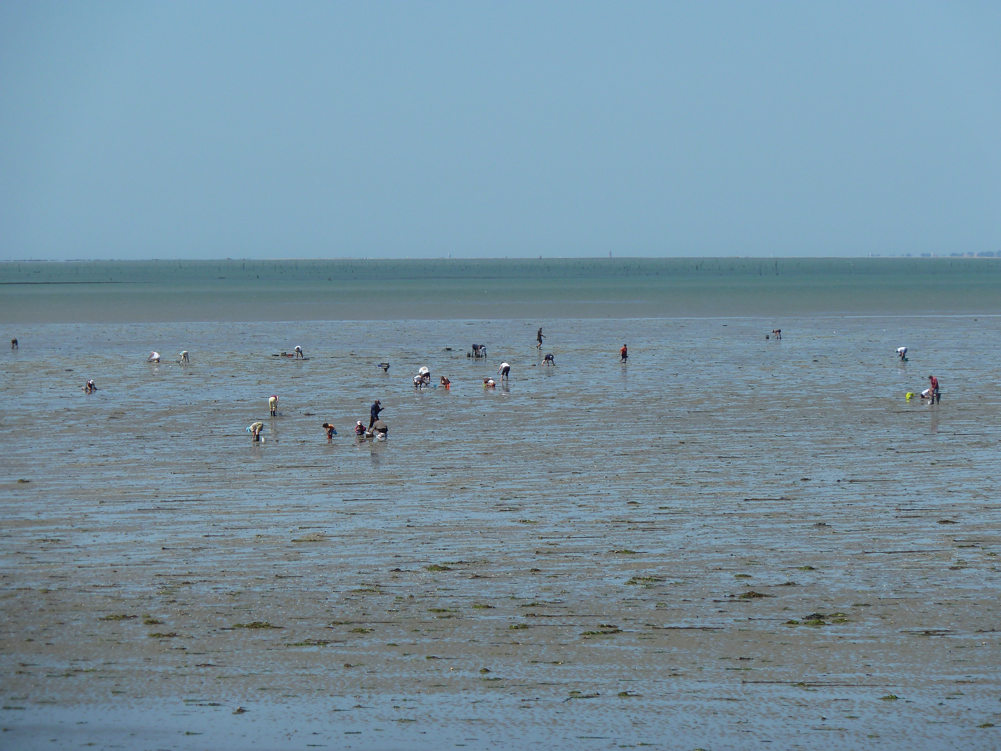 รูปถ่าย ฝรั่งเศส(France) นีวร์มูทีเย(Noirmoutier) 2010-07 32