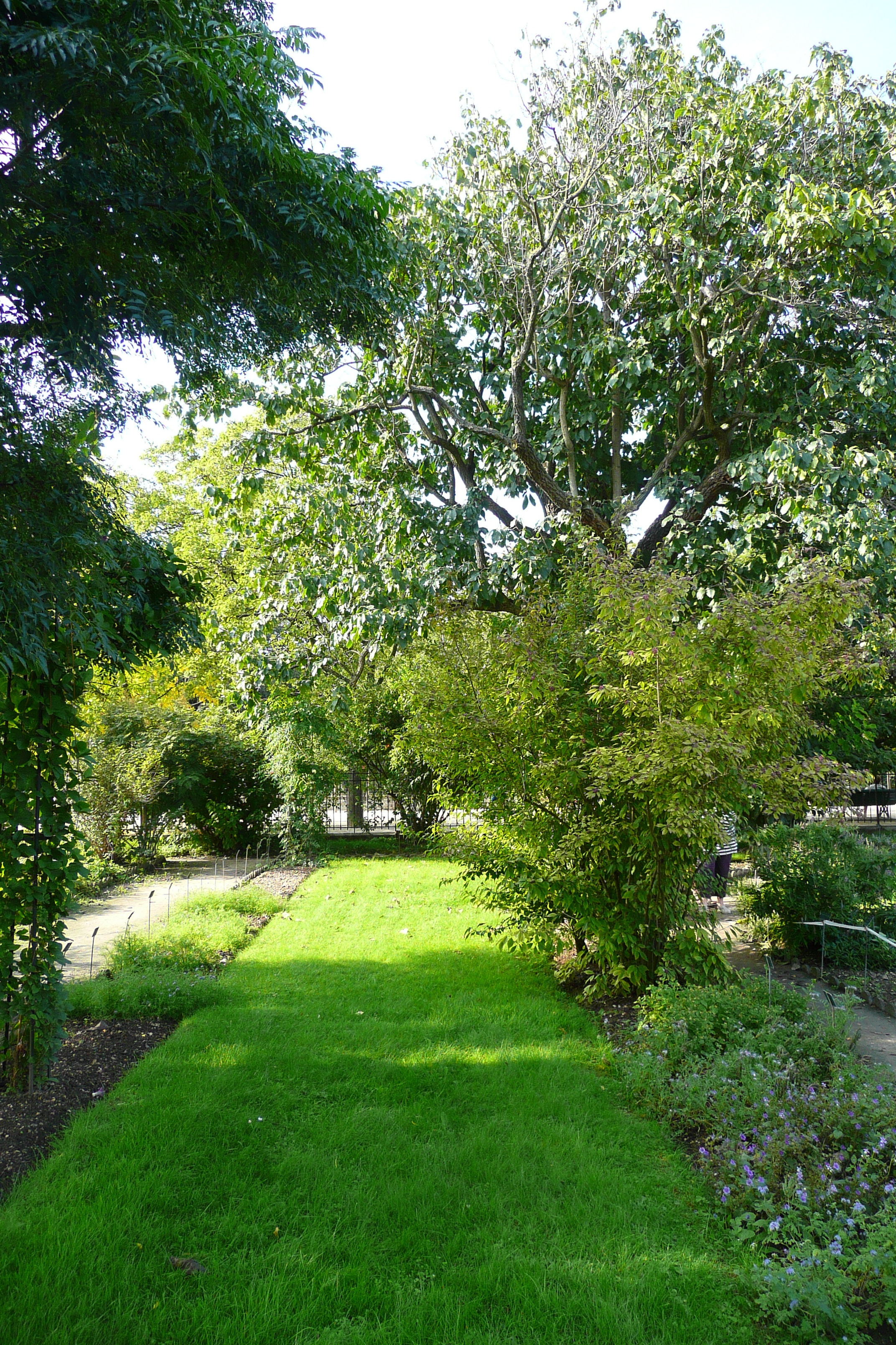 รูปถ่าย ฝรั่งเศส(France) ปารีส(Paris) สวนพันธ์ุพืช(Jardin des Plantes) 2007-08 139