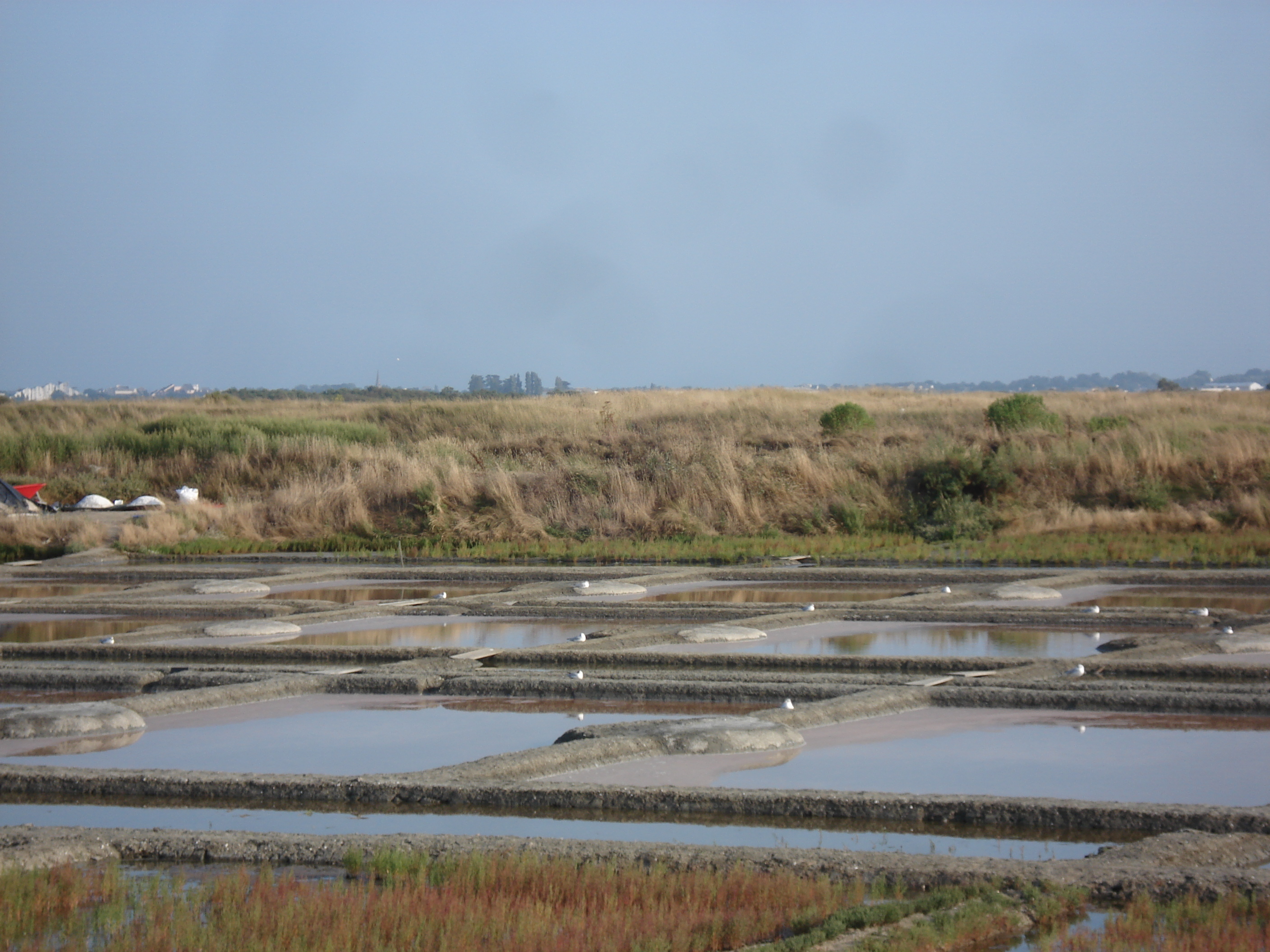 รูปถ่าย ฝรั่งเศส(France) เกรองเดอ(Guerande) 2006-08 11