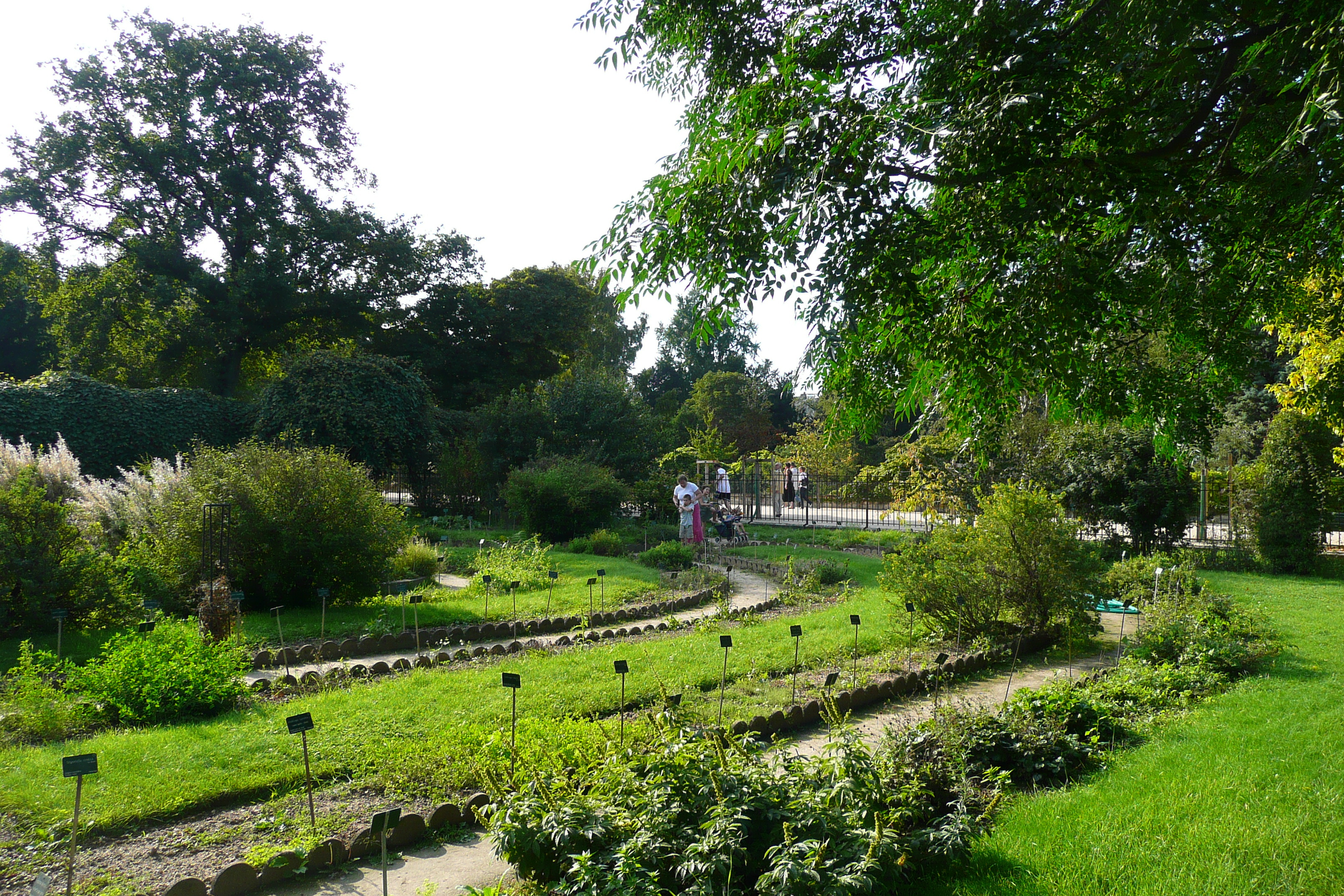 รูปถ่าย ฝรั่งเศส(France) ปารีส(Paris) สวนพันธ์ุพืช(Jardin des Plantes) 2007-08 142