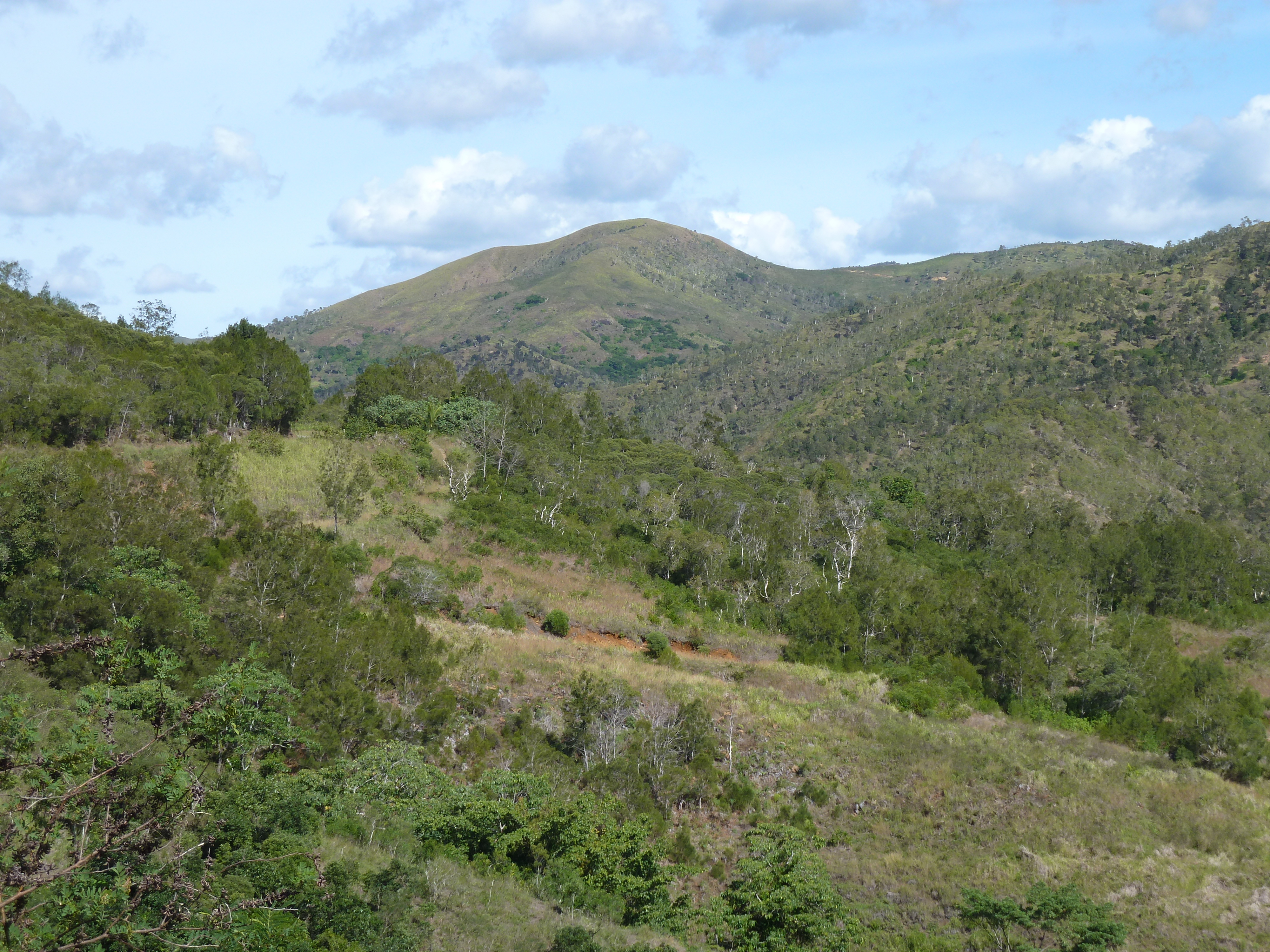 รูปถ่าย นิวแคลิโดเนีย(New Caledonia) ถนนจากตงตูตาไปทีโอ(Tontouta to Thio road) 2010-05 123