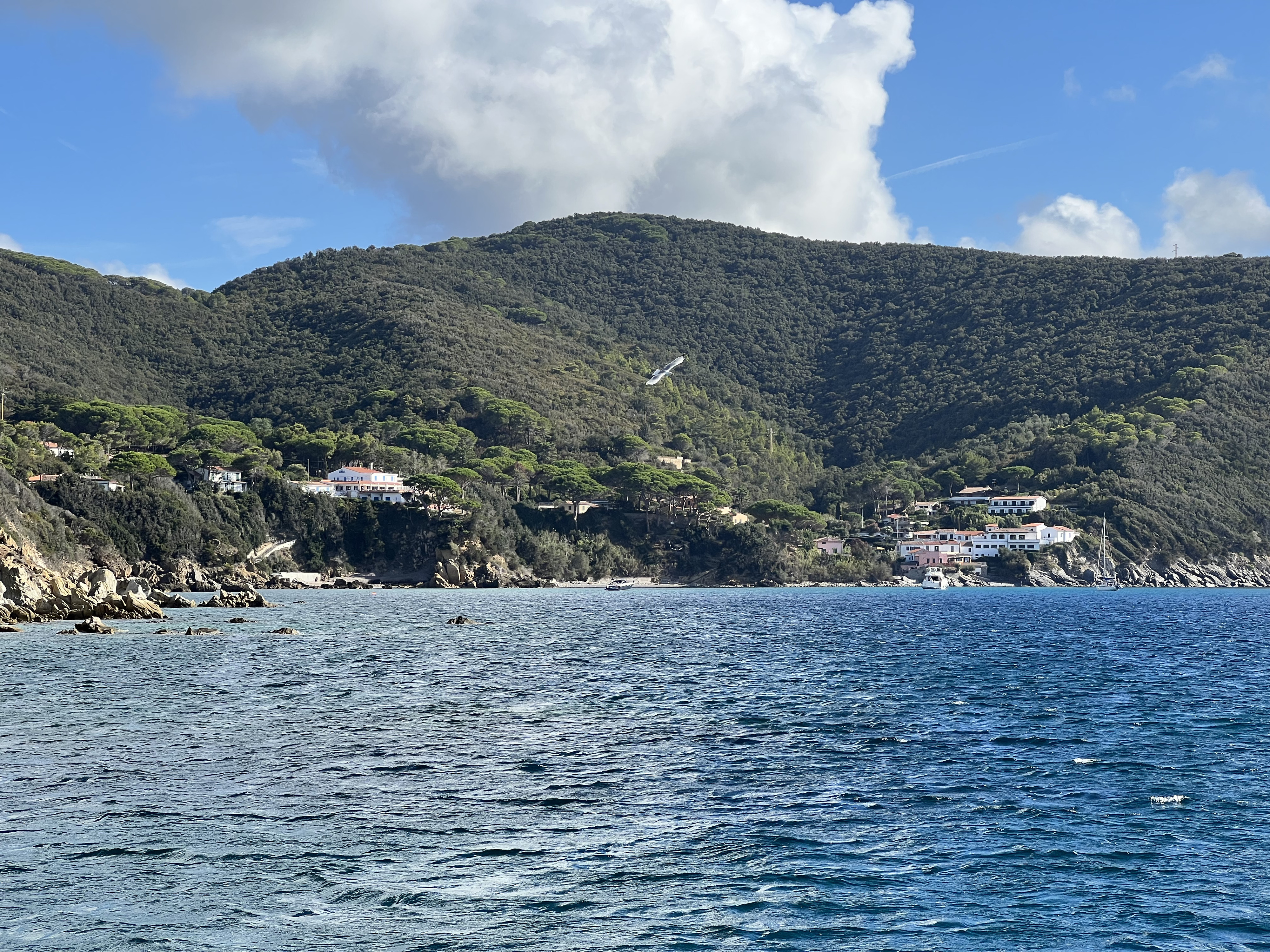 รูปถ่าย อิตาลี(Italy) เกาะเอลบา(Isola d'Elba) 2021-09 14