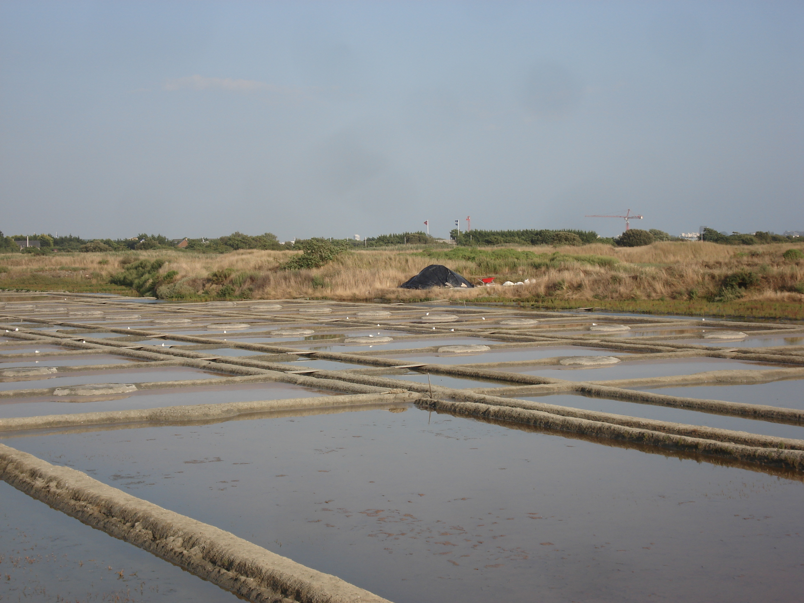 รูปถ่าย ฝรั่งเศส(France) เกรองเดอ(Guerande) 2006-08 7