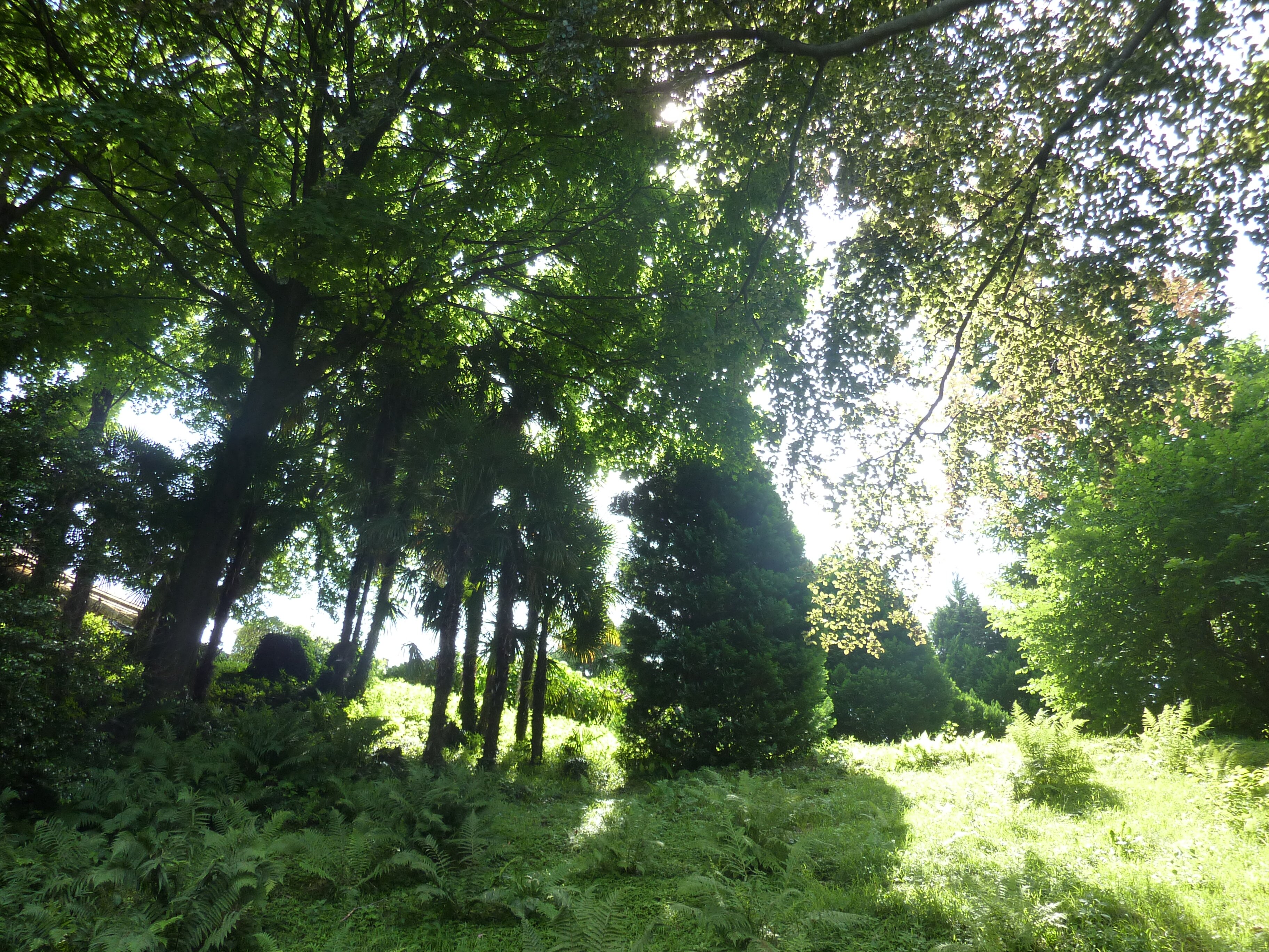รูปถ่าย อิตาลี(Italy) วิลลาปัลลาวีชีโน(Villa Pallavicino) 2009-06 27