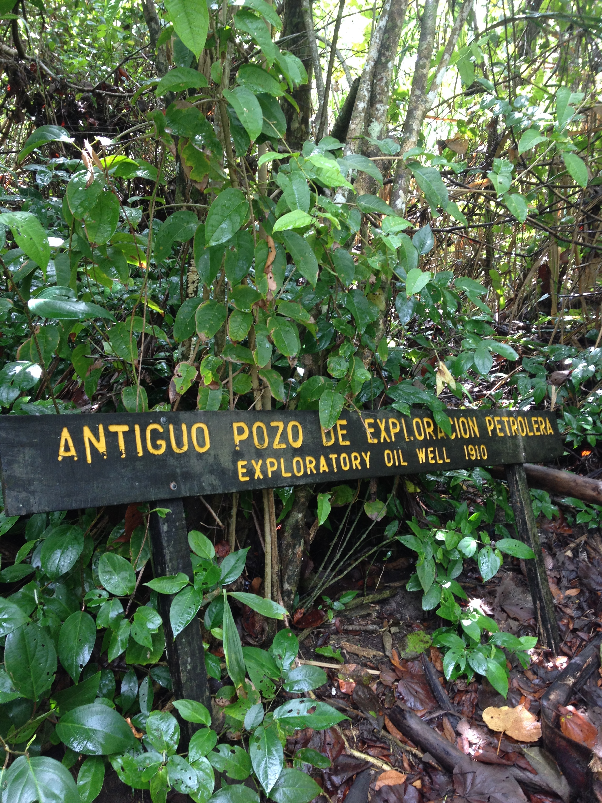 รูปถ่าย คอสตาริกา(Costa Rica) กาอุยตา(Cahuita) 2015-03 248
