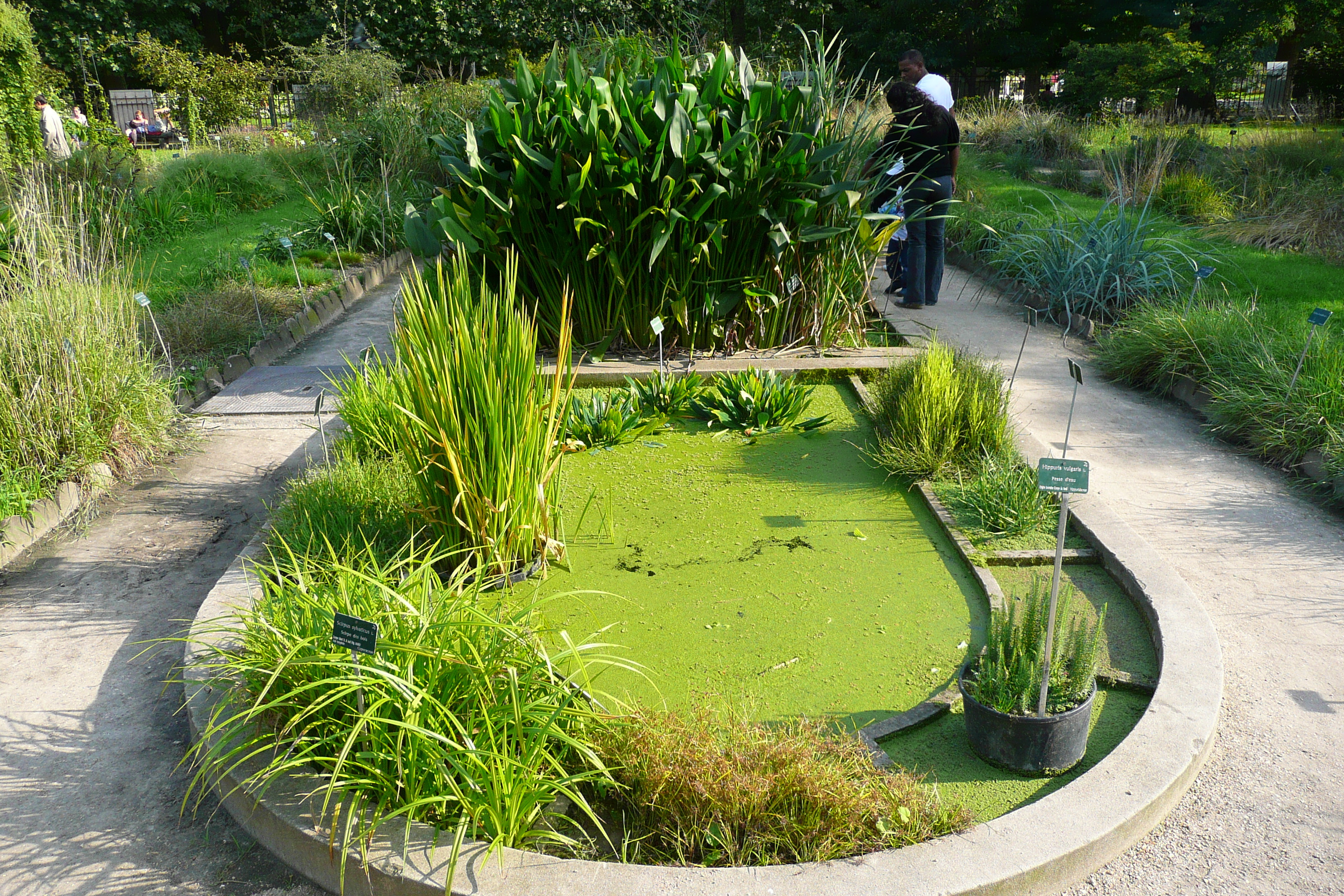 รูปถ่าย ฝรั่งเศส(France) ปารีส(Paris) สวนพันธ์ุพืช(Jardin des Plantes) 2007-08 113
