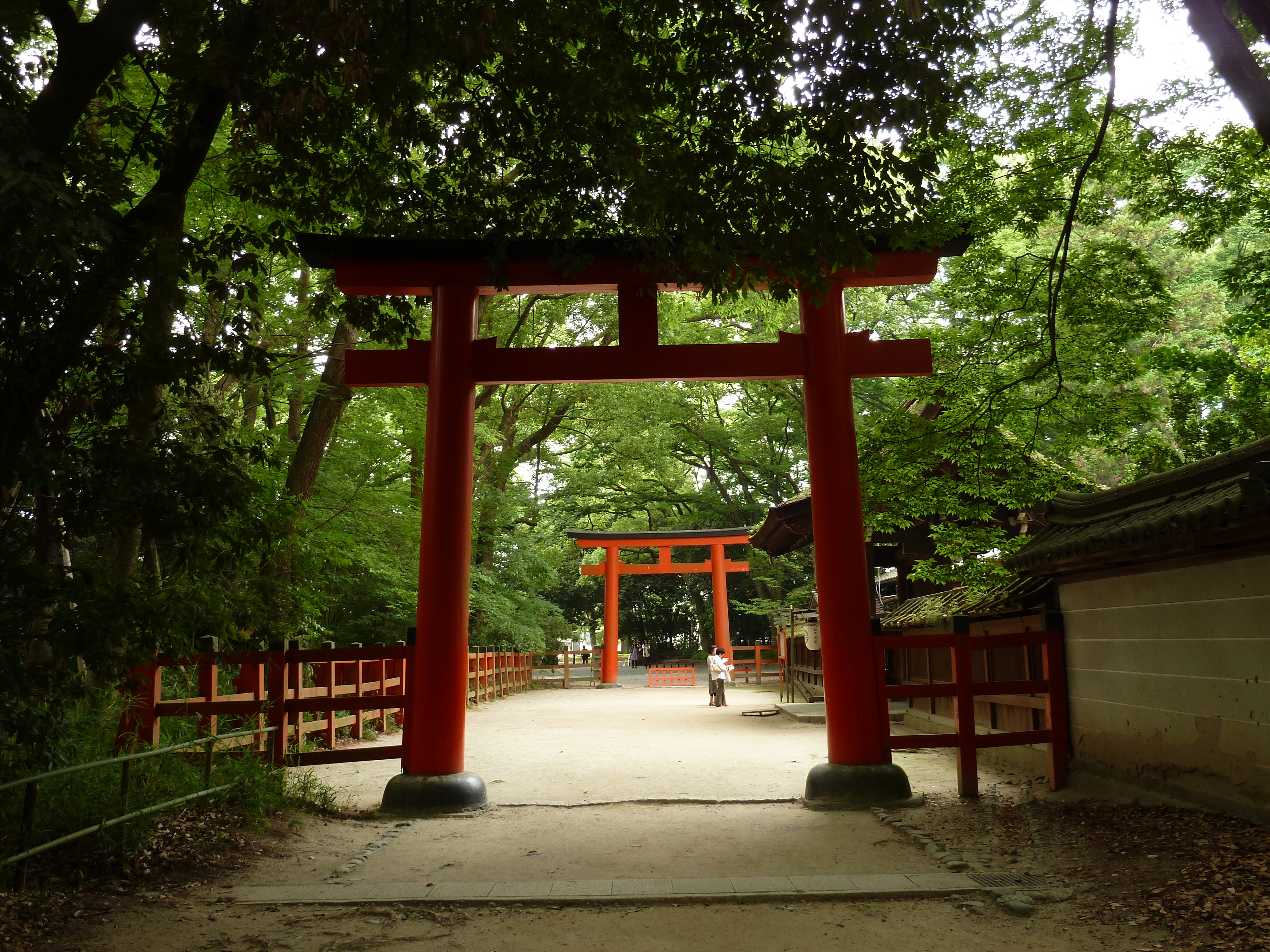 รูปถ่าย ญี่ปุ่น(Japan) เกียวโต(Kyoto) ศาลเจ้าคาโมะมิโอยะ (ศาลเจ้าชิโมะงาโมะ)(Kamomioya Shrine(Shimogamo Shrine)) 2010-06 16