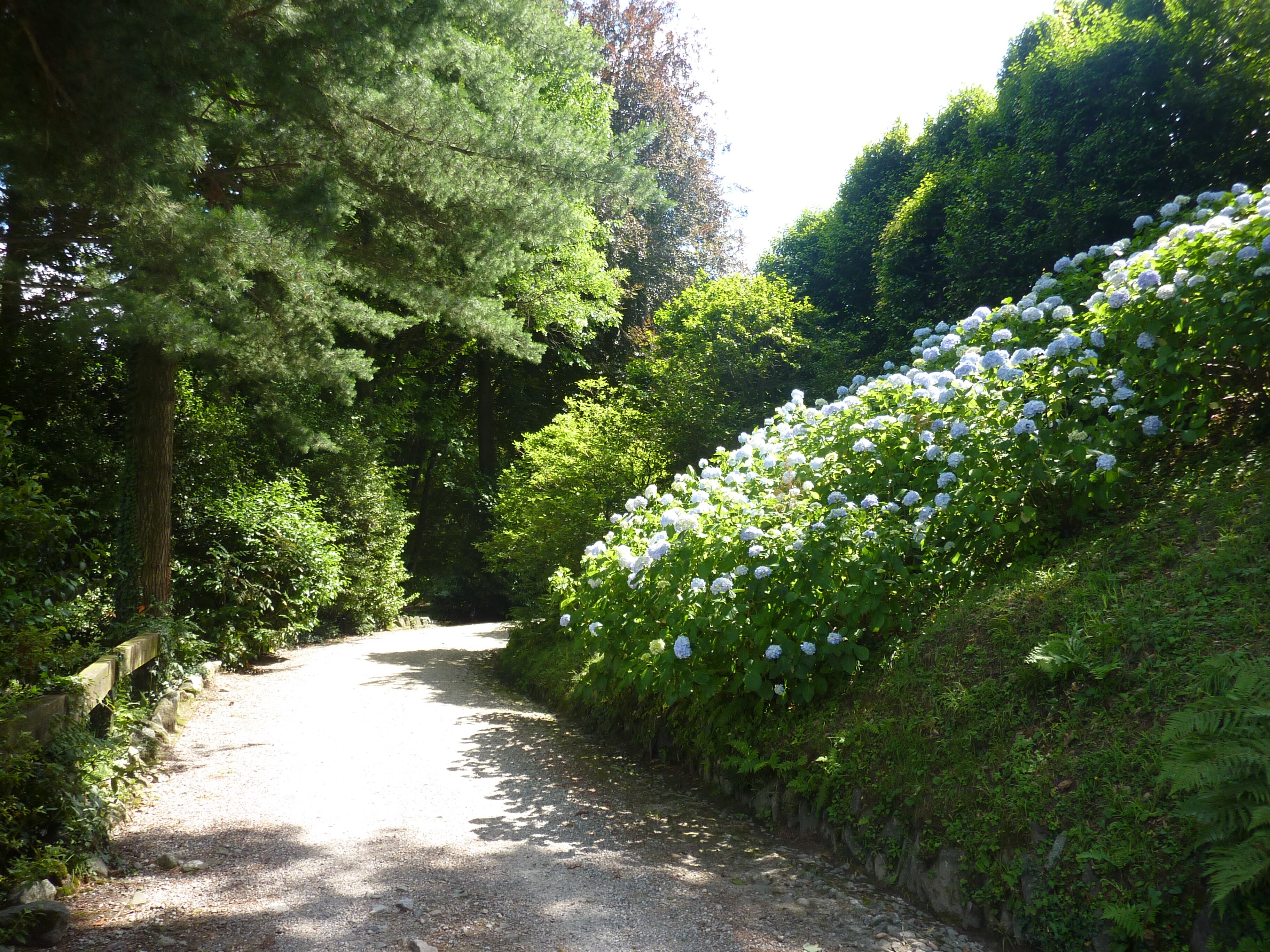 รูปถ่าย อิตาลี(Italy) วิลลาปัลลาวีชีโน(Villa Pallavicino) 2009-06 89