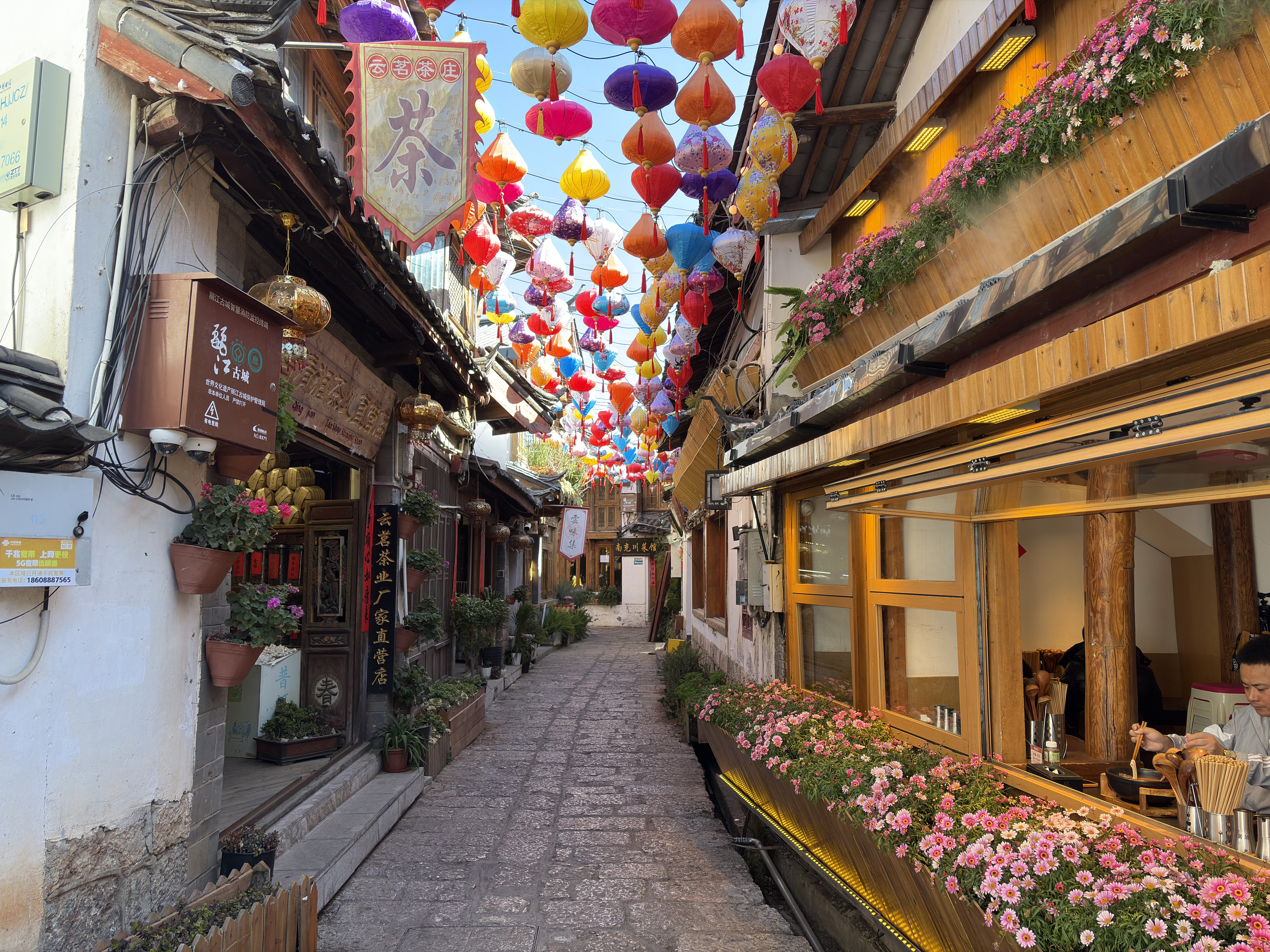 รูปถ่าย จีน(China) ลี่เจียง(Lijiang) 2026-01 366