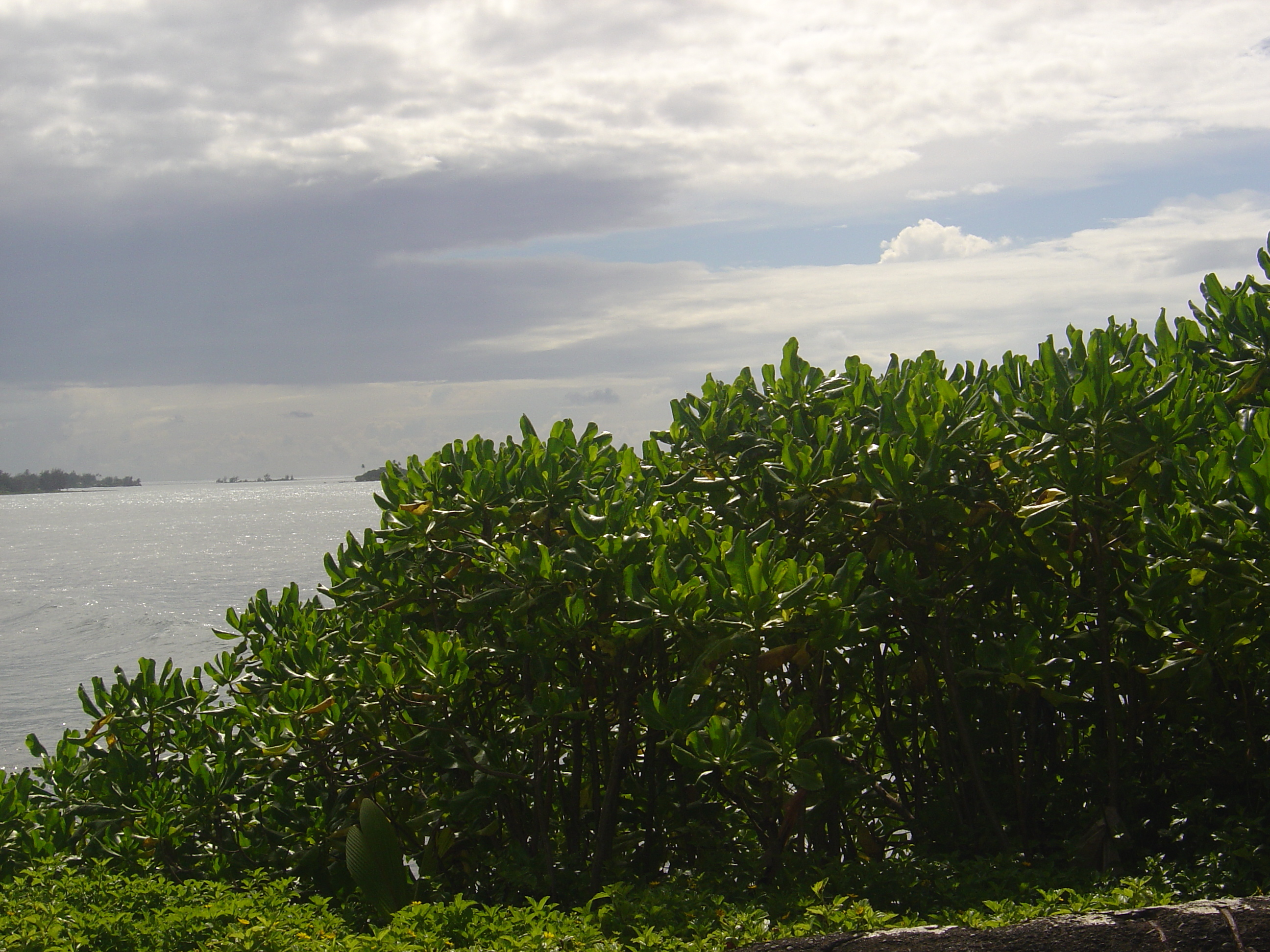 รูปถ่าย เฟรนช์โพลี่นีเซีย(Polynesia) ตาฮิติ(Tahiti) 2006-04 8