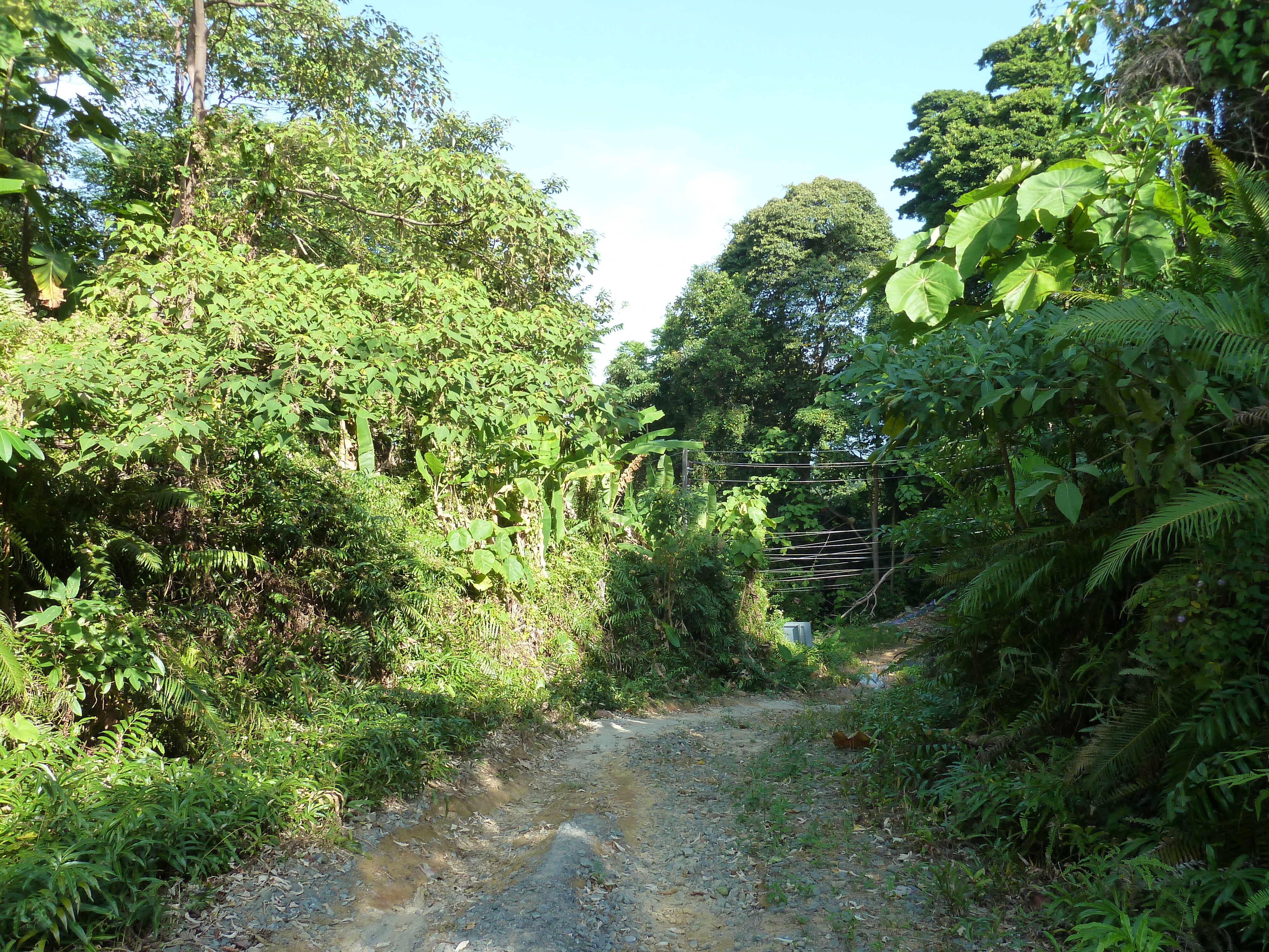 รูปถ่าย ไทย(Thailand) เกาะช้าง(Ko Chang) 2011-12 154