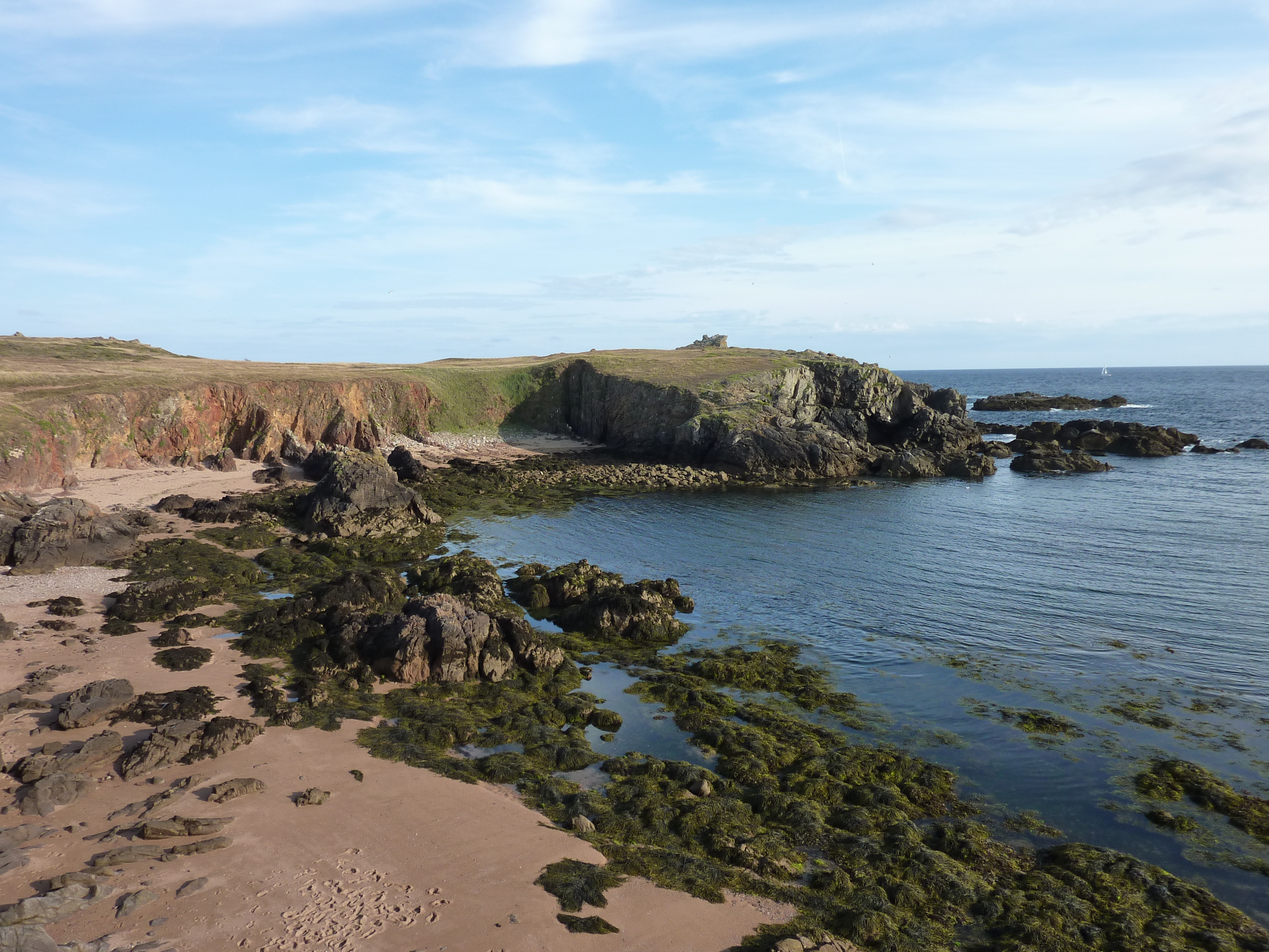 รูปถ่าย ฝรั่งเศส(France) เกาะดีเยอ(Ile d'yeu) 2009-07 115