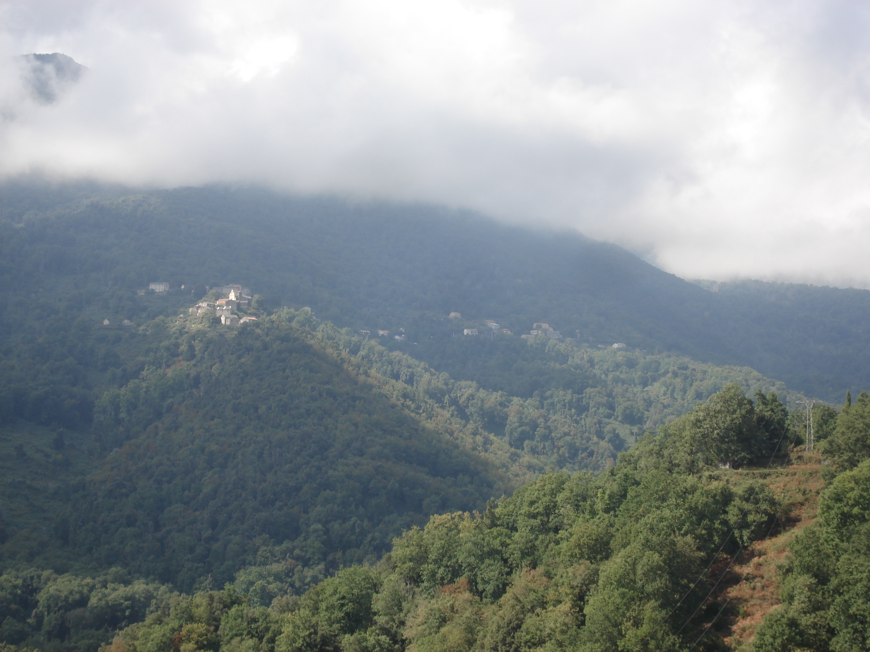 รูปถ่าย ฝรั่งเศส(France) คอร์สิคา(Corsica) วัลเล-ดาเลซานี(Valle d'alesani) 2006-09 86