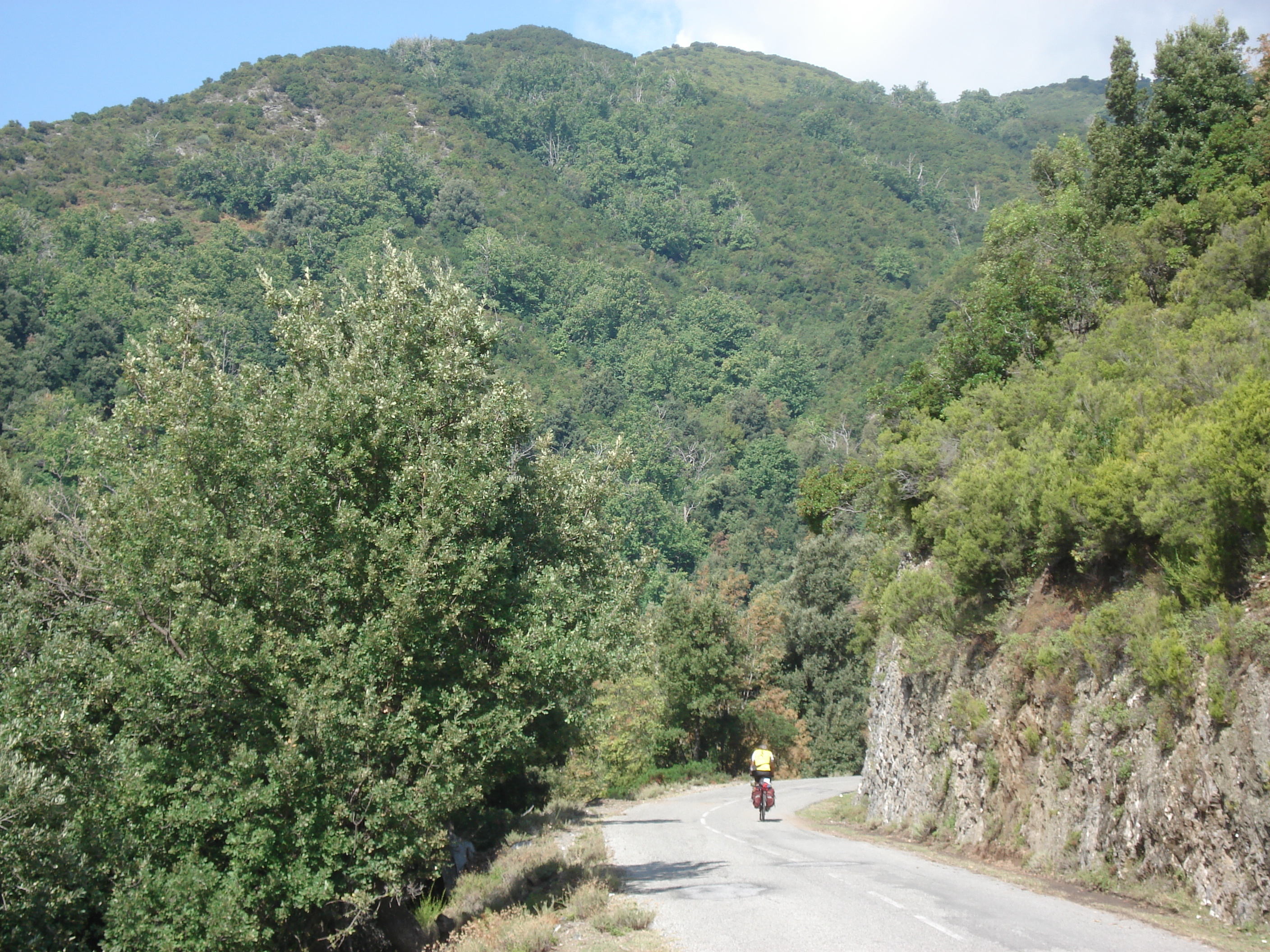 รูปถ่าย ฝรั่งเศส(France) คอร์สิคา(Corsica) วัลเล-ดาเลซานี(Valle d'alesani) 2006-09 87