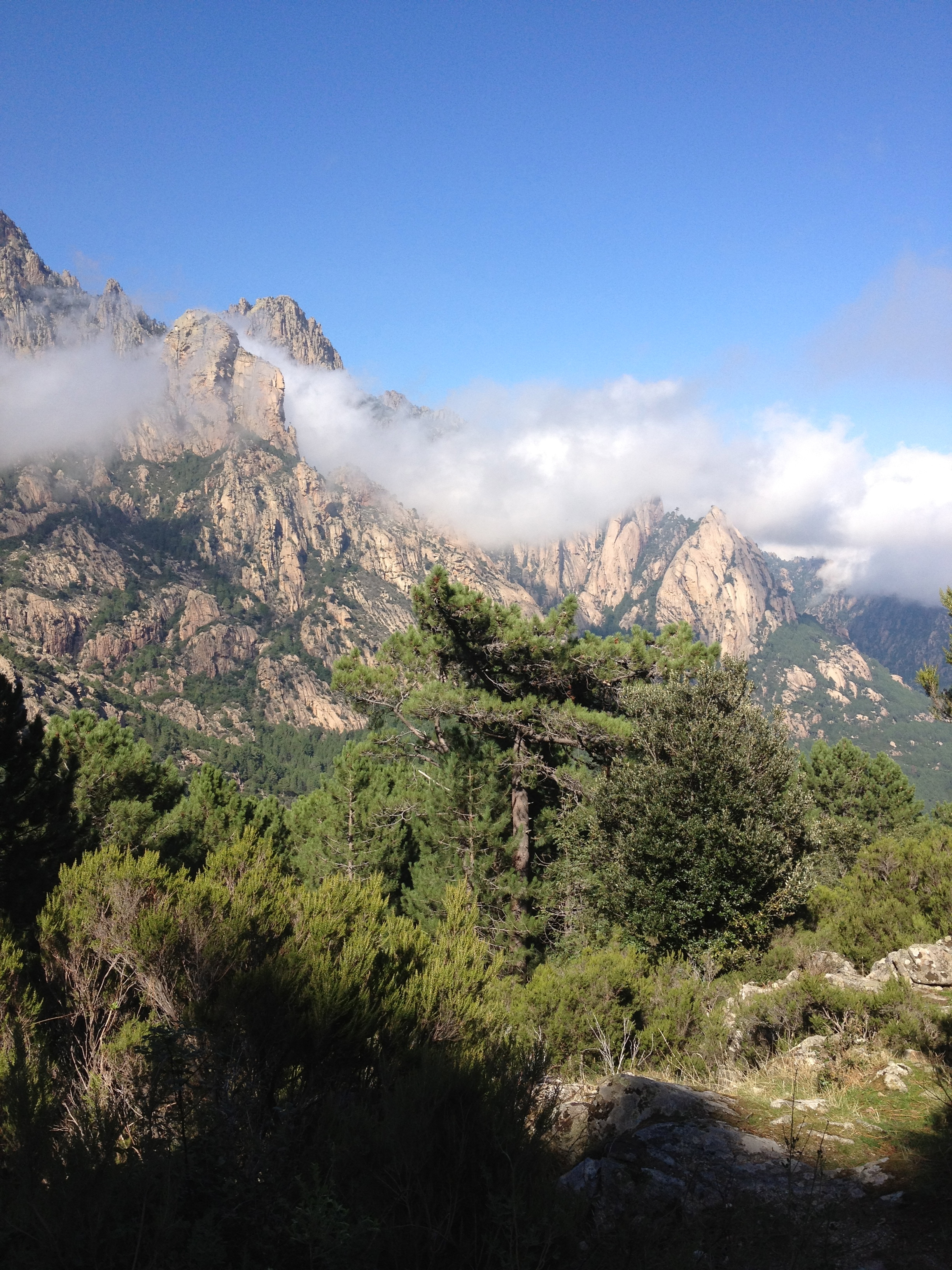 รูปถ่าย ฝรั่งเศส(France) คอร์สิคา(Corsica) บาแวลลา(Bavella) 2012-09 30