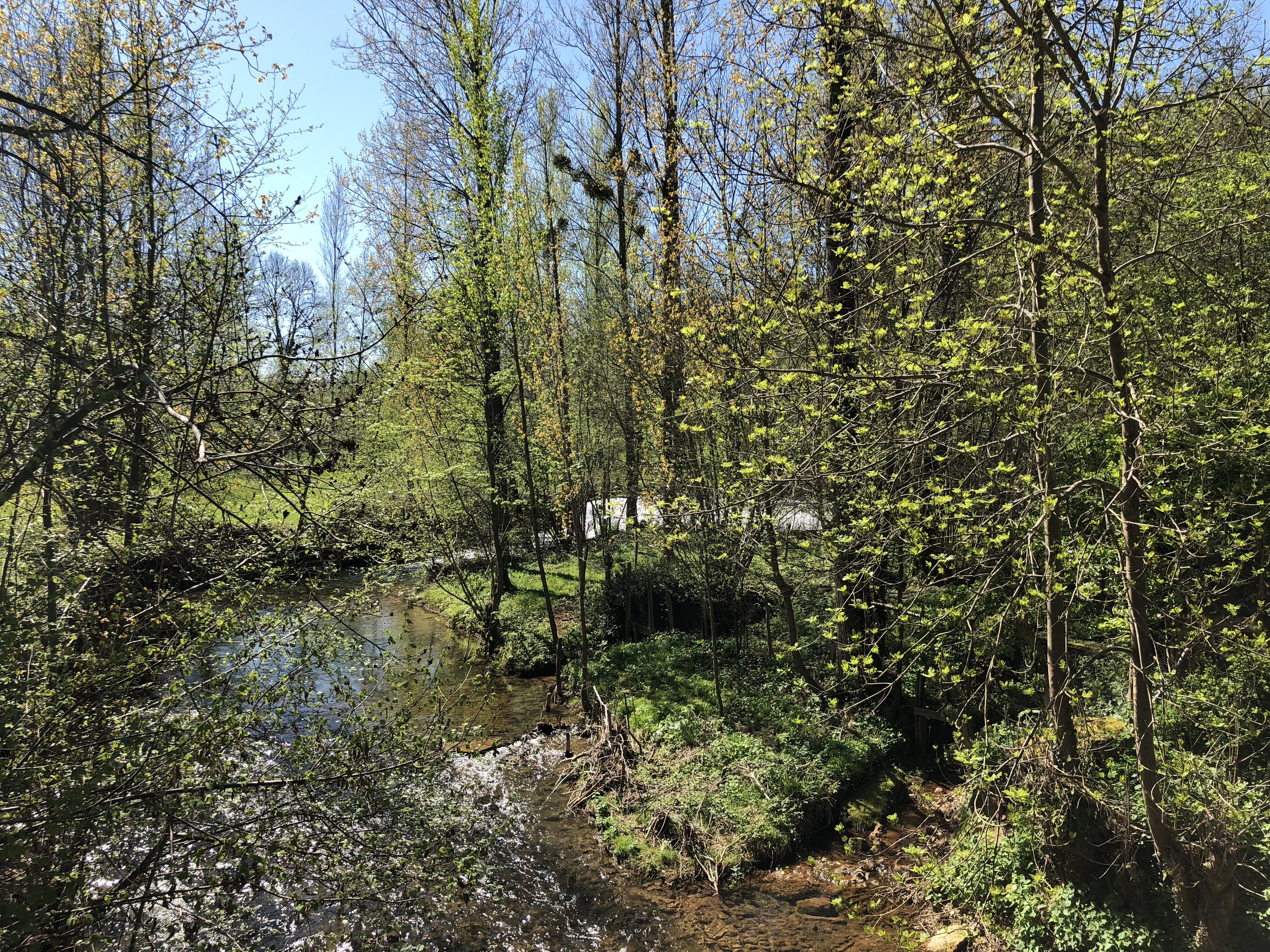 รูปถ่าย ฝรั่งเศส(France) กงก์(Conques) 2018-04 196