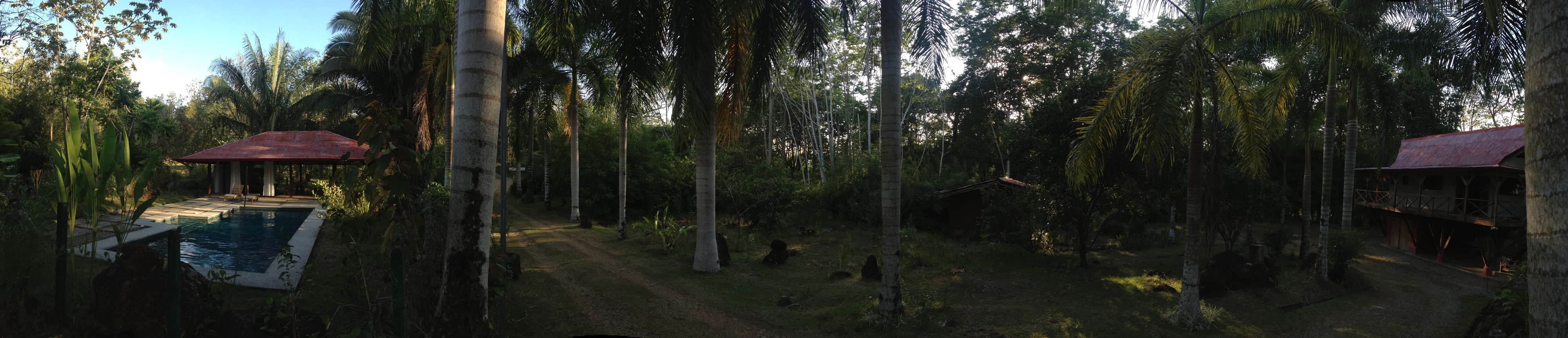 รูปถ่าย คอสตาริกา(Costa Rica) อูบีตา(Uvita) 2015-03 88