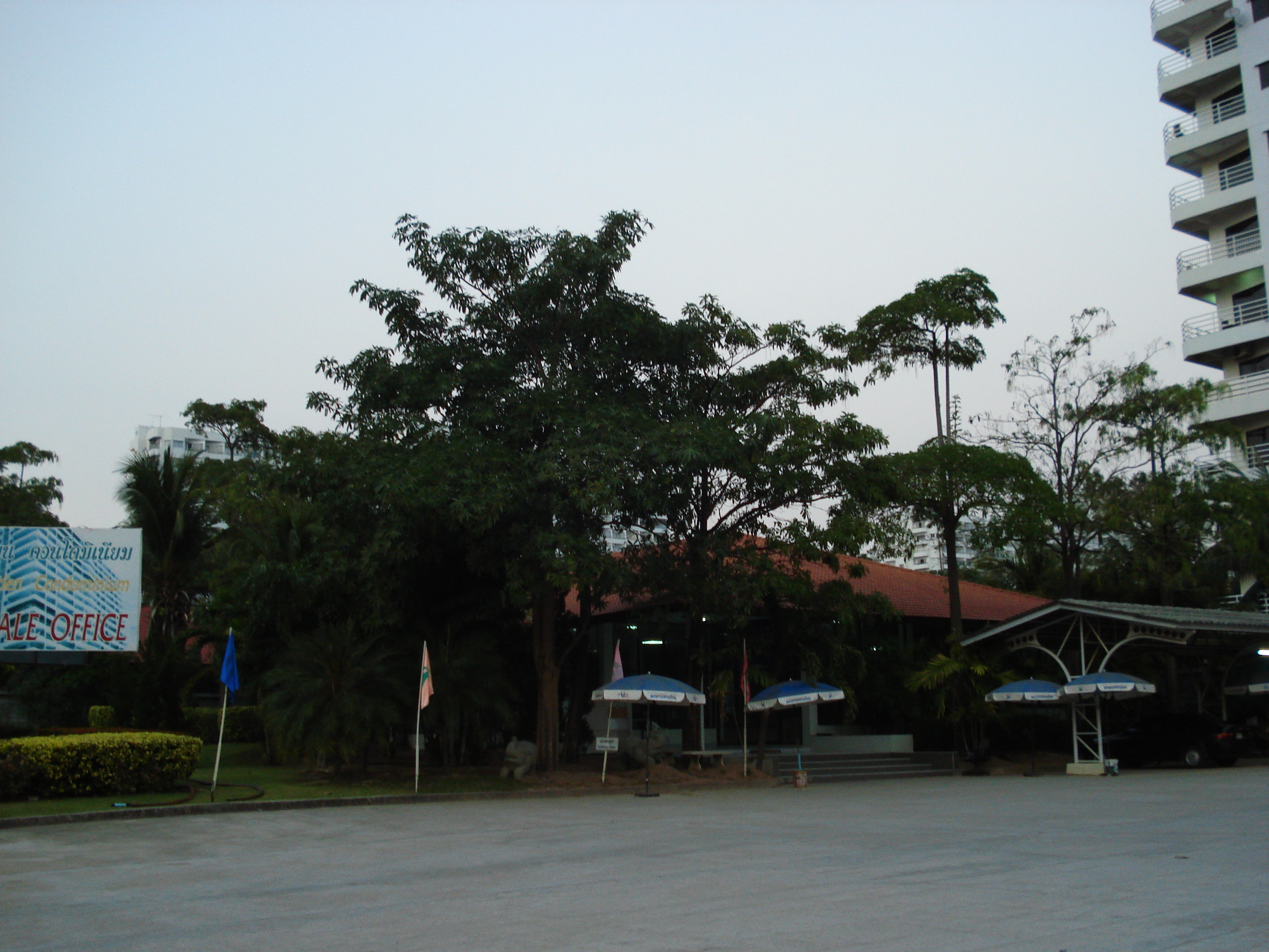 รูปถ่าย ไทย(Thailand) จอมเทียน(Jomtien) ทัพพระยา(Thappraya) 2008-01 21