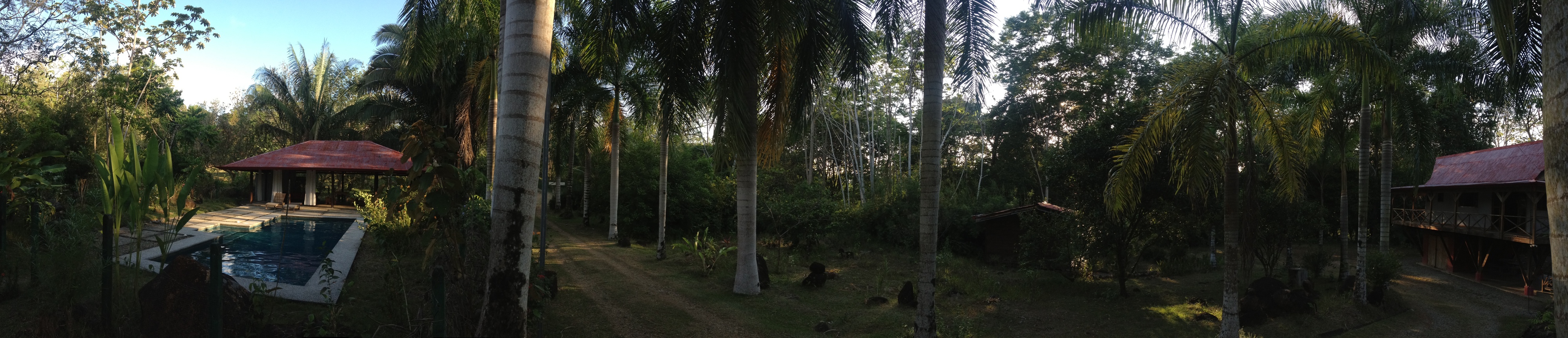 รูปถ่าย คอสตาริกา(Costa Rica) อูบีตา(Uvita) 2015-03 69