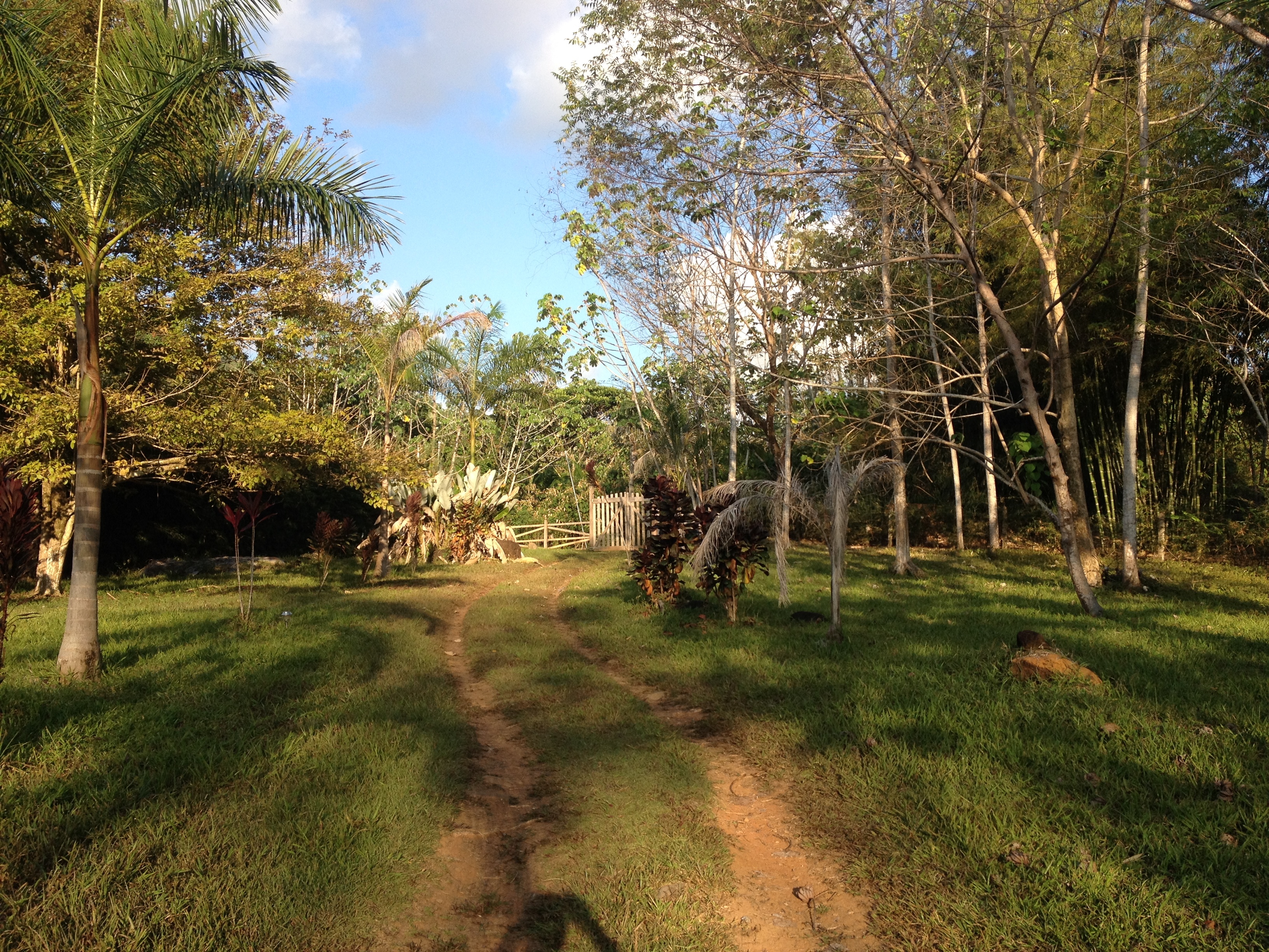 รูปถ่าย คอสตาริกา(Costa Rica) อูบีตา(Uvita) 2015-03 62