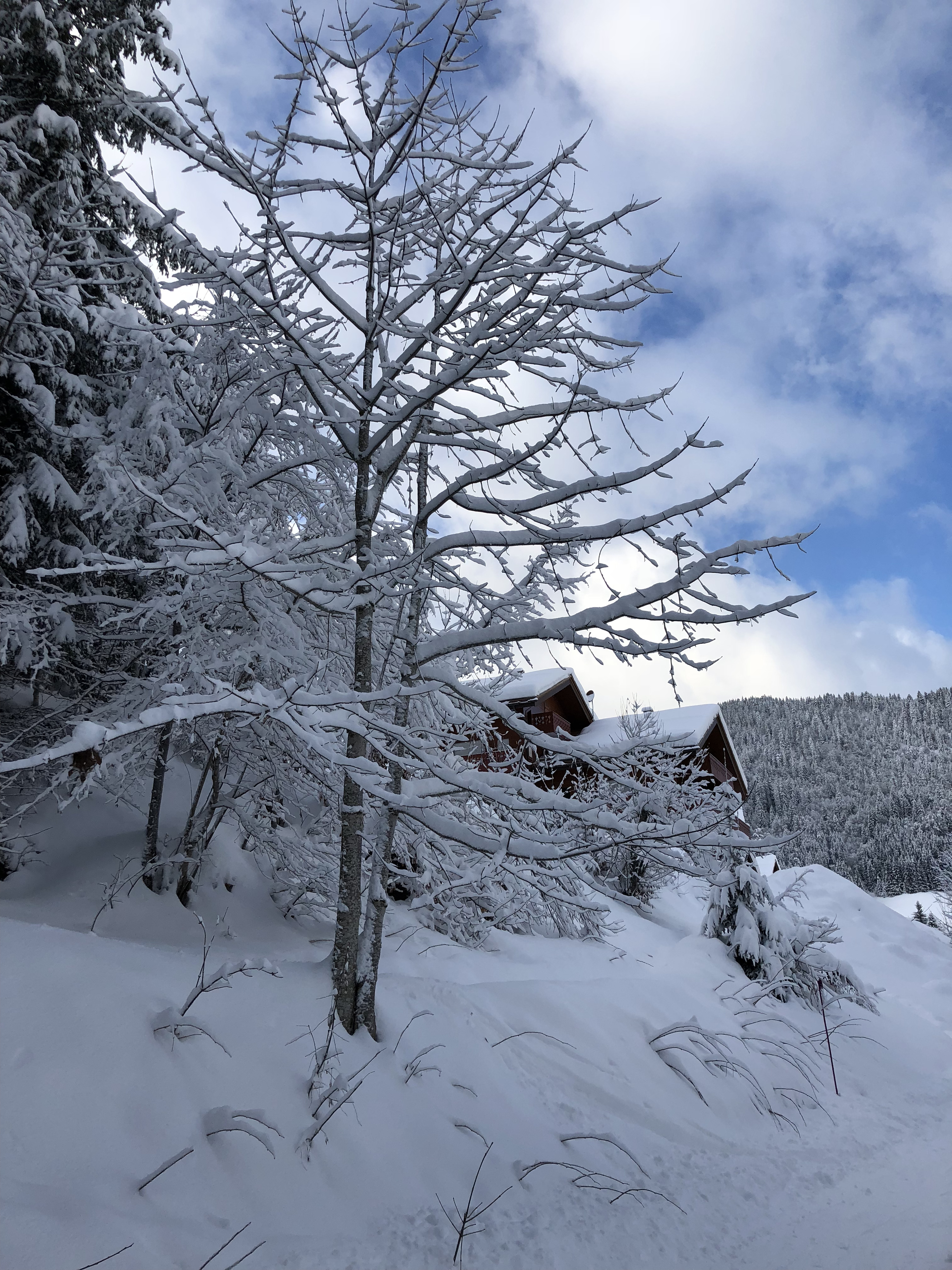 รูปถ่าย ฝรั่งเศส(France) ลากลูซา(La Clusaz) 2017-12 187
