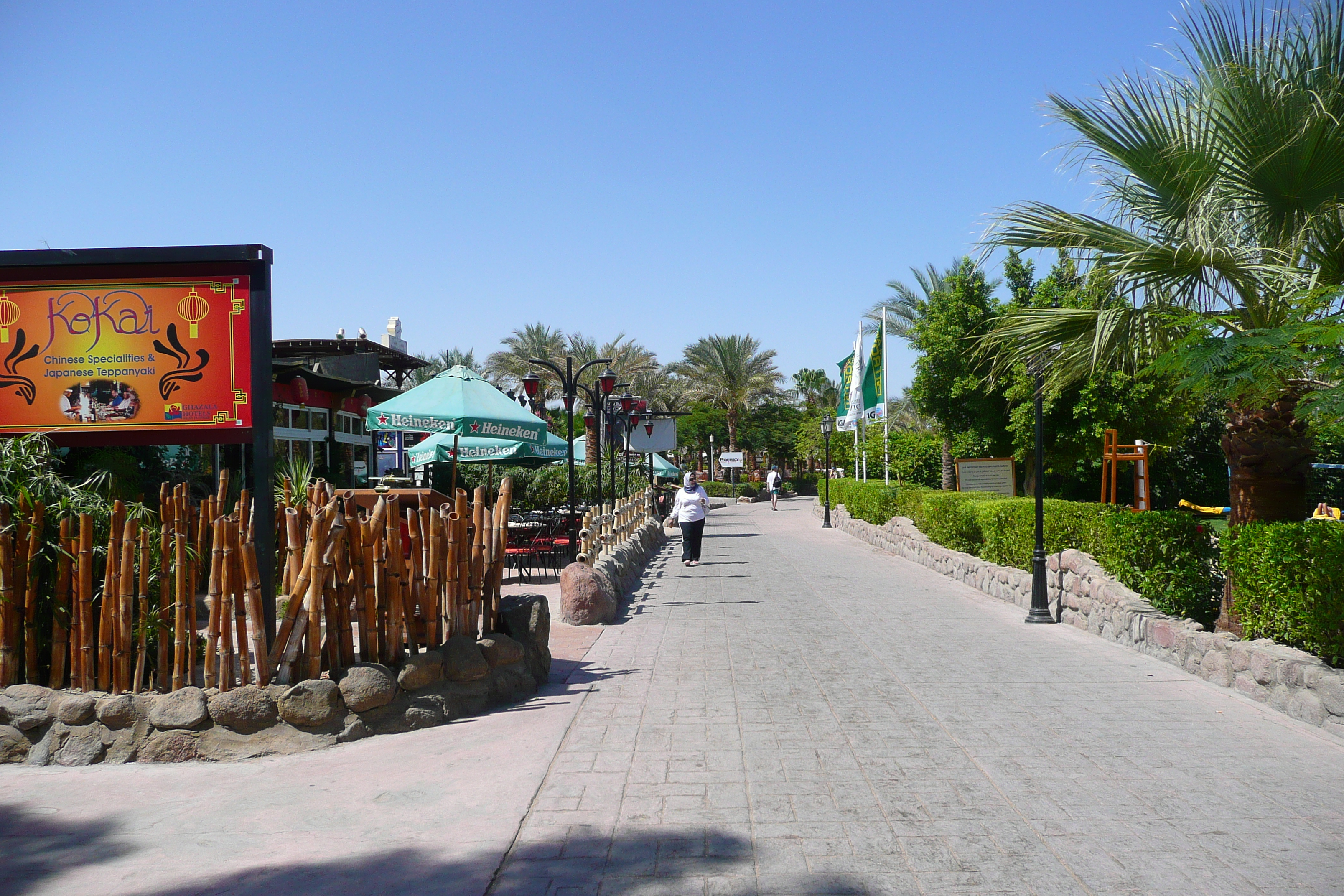 รูปถ่าย อียิปต์(Egypt) ชาร์มเอลชีค(Sharm el Sheikh) 2008-06 4